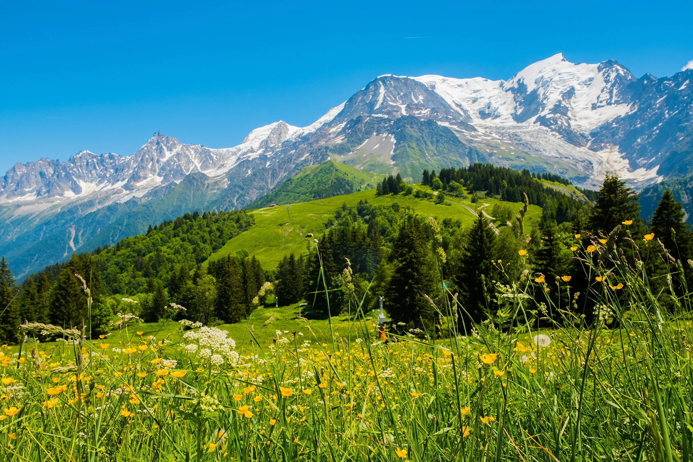 View of Mont Blanc from the Col du Voza in Les Houches, France.