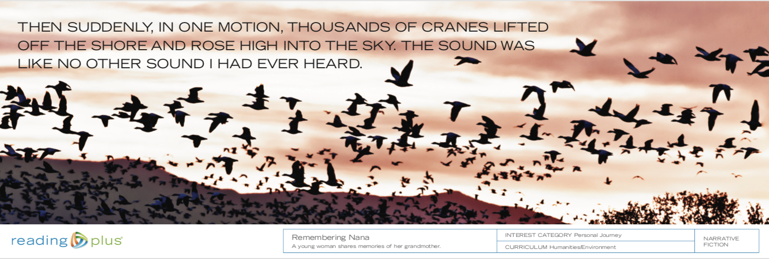 Screen Shot 2019-01-21 at 7.59.14 PM.png