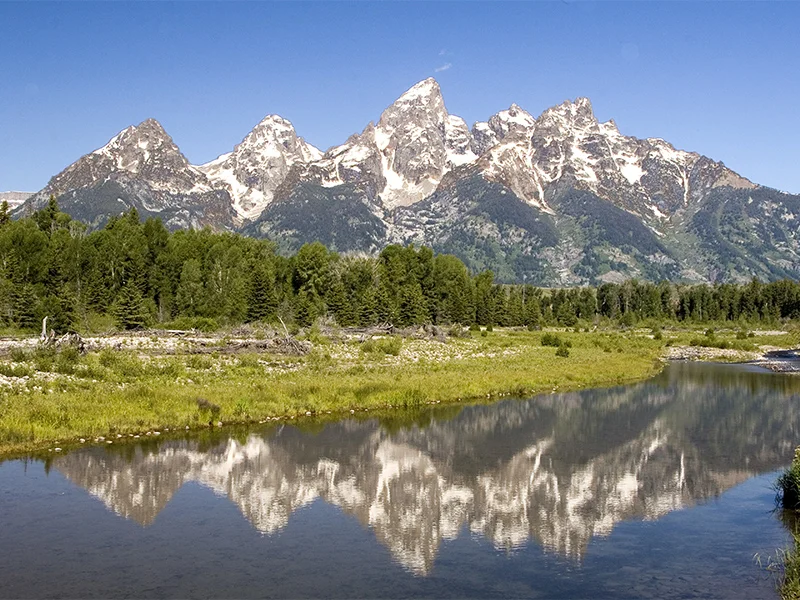 JACKSON HOLE QUICK FACTS — Nancy Lee Clancy