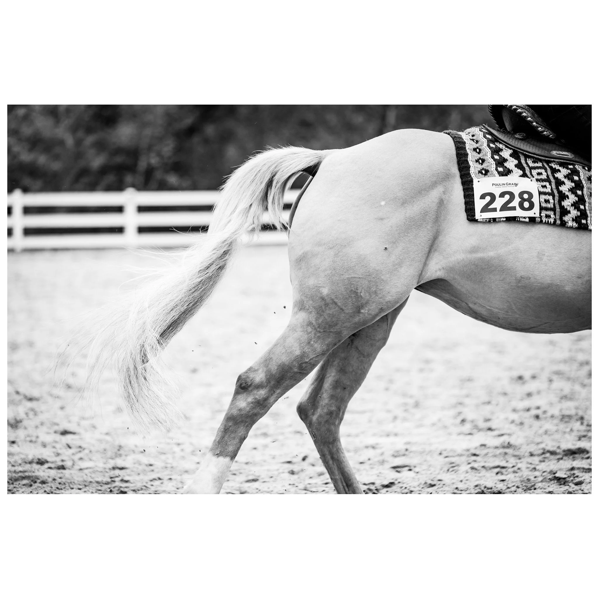 All photos from the May 19, 2024 ECRRA horse show at @lakesregionridingacademy are posted to my web gallery. Please share!
