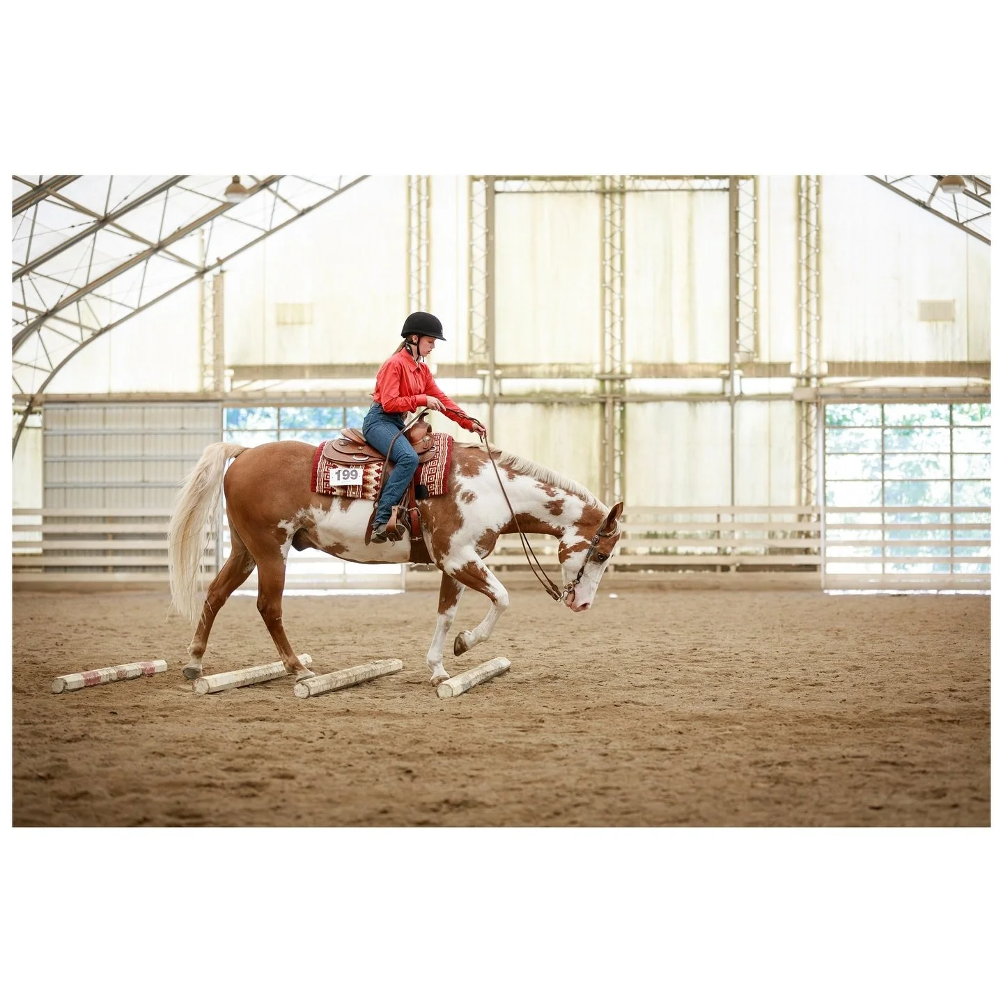 Horse show photos from the @nhquarterhorse ECRRA show at Boulder Brook Stables on July 7th have been posted to my website! Visit the link in my bio and check them out. 🐴