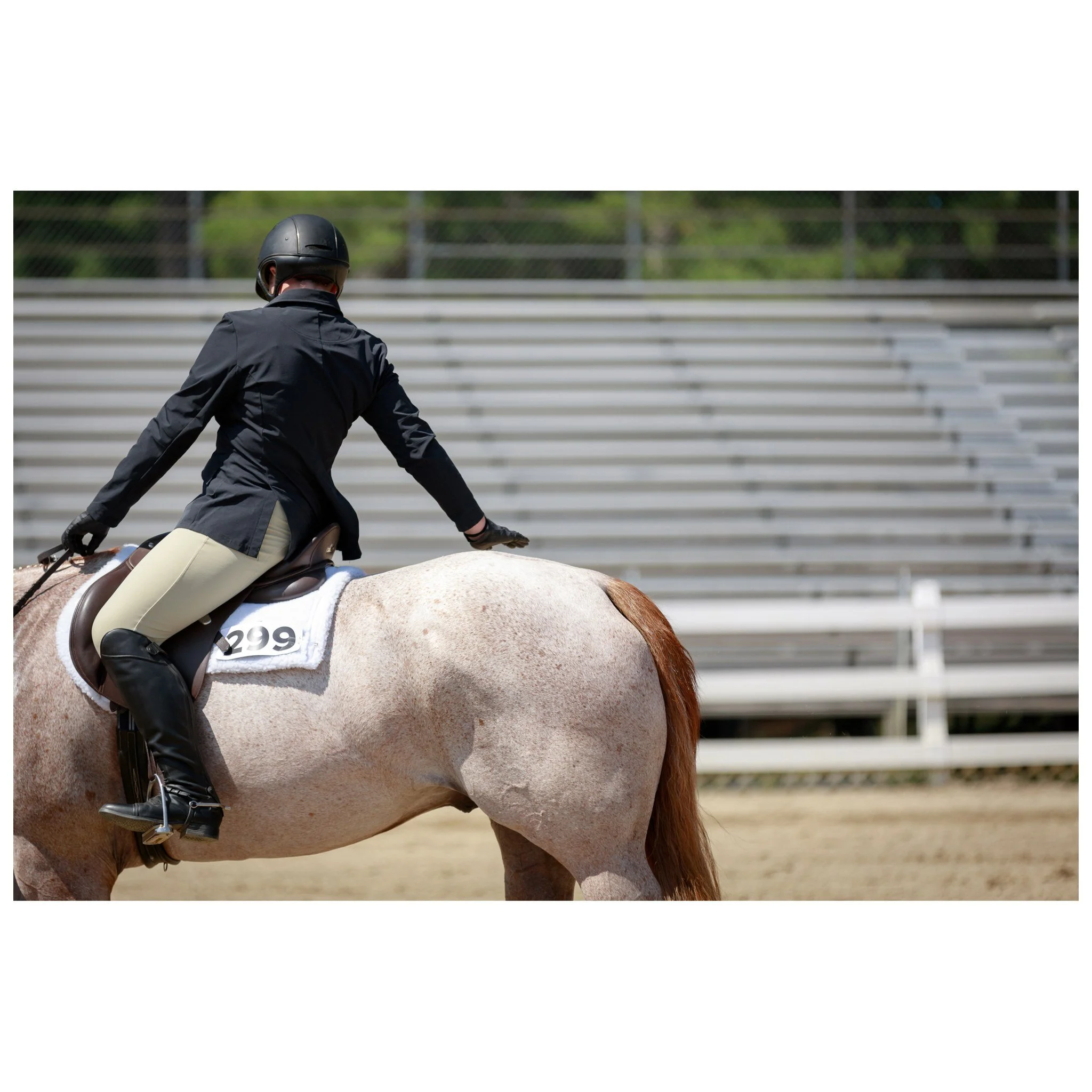 Last day for the @nhquarterhorse 2024 Annual Horse Show. Just a reminder, I will have all show photos organized by back number within the show gallery. Keep an eye on my Facebook page for updates on when those will be posted!