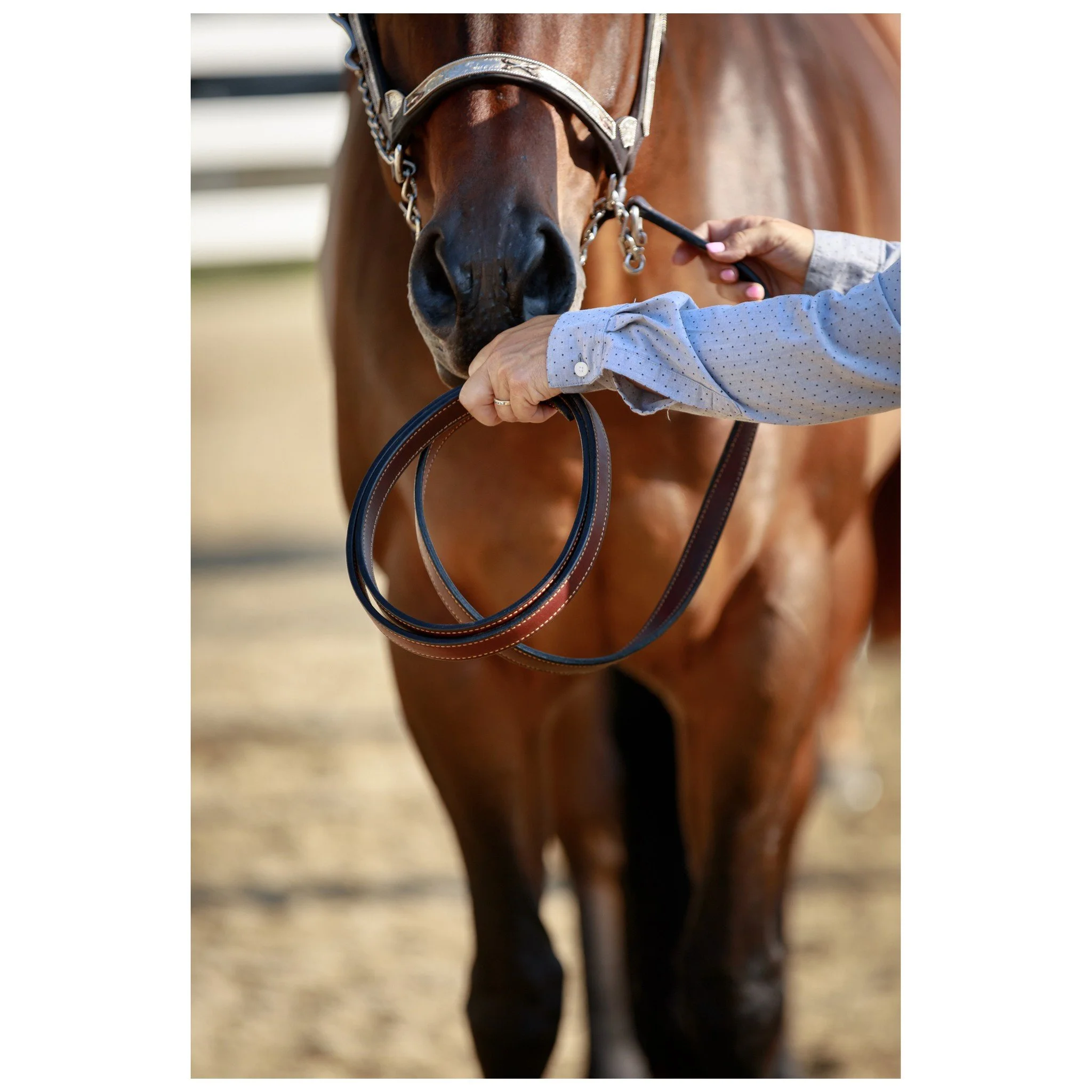 5 days, 21k images later, and another @nhquarterhorse Annual Horse Show has come to a close. It'll take me a while to cull, sort, and edit these images, but stay tuned for updates on your show galleries!