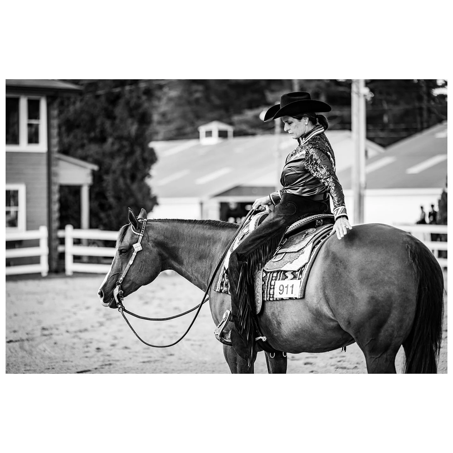 For my fellow @nhquarterhorse folks: all photos from Wednesday&ndash;Friday of the NHQHA annual show have been posted to my website. The remaining images will be up shortly! 

#aqhaproud #horseshow #aqha