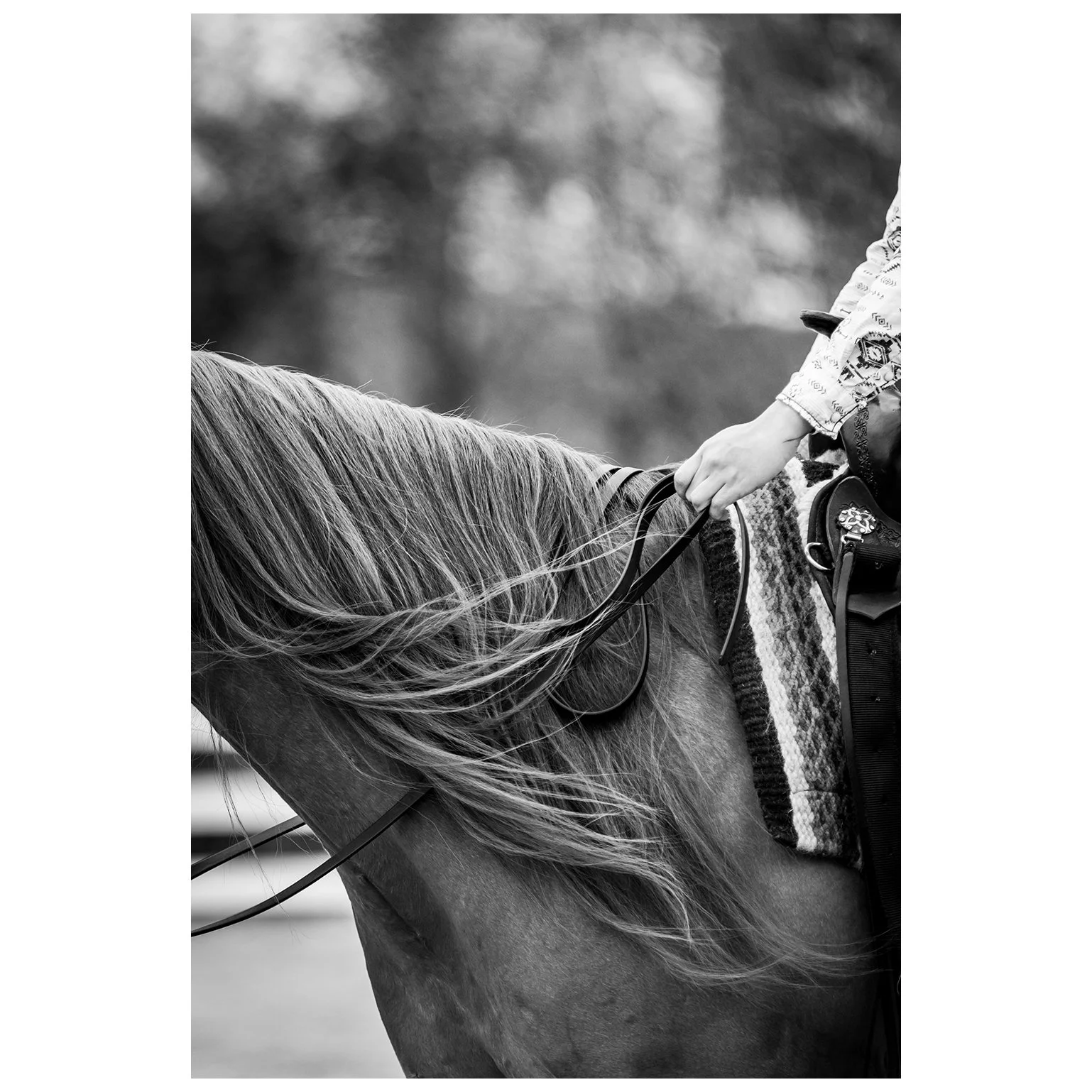 It's time to clean out my online galleries! From now through the end of the year, all horse show digital images are 50% off. Use code BF50 at checkout.

Be sure to check out past galleries. After January 1st, horse show galleries prior to 2024 will b