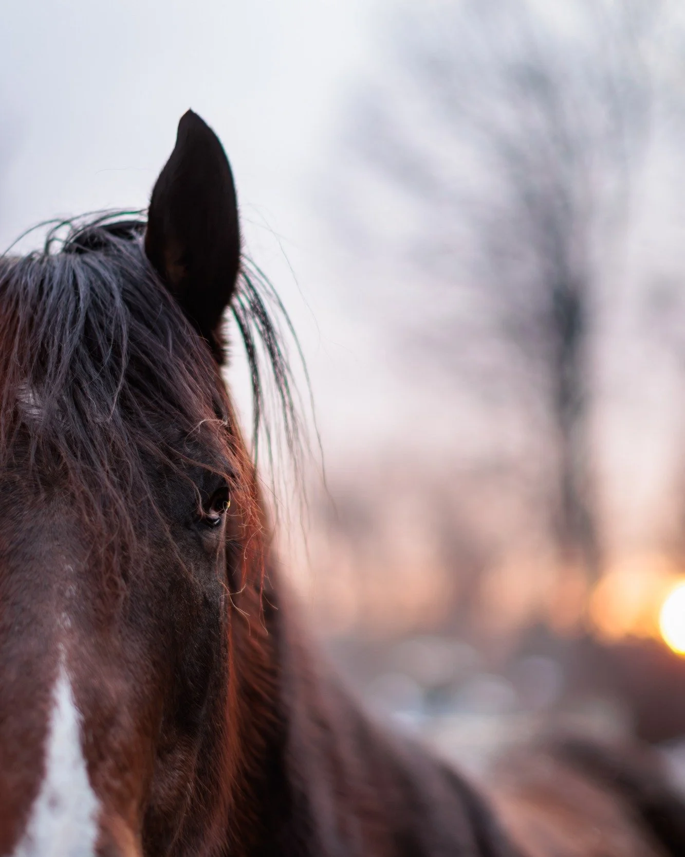 006/365

#jfisher365