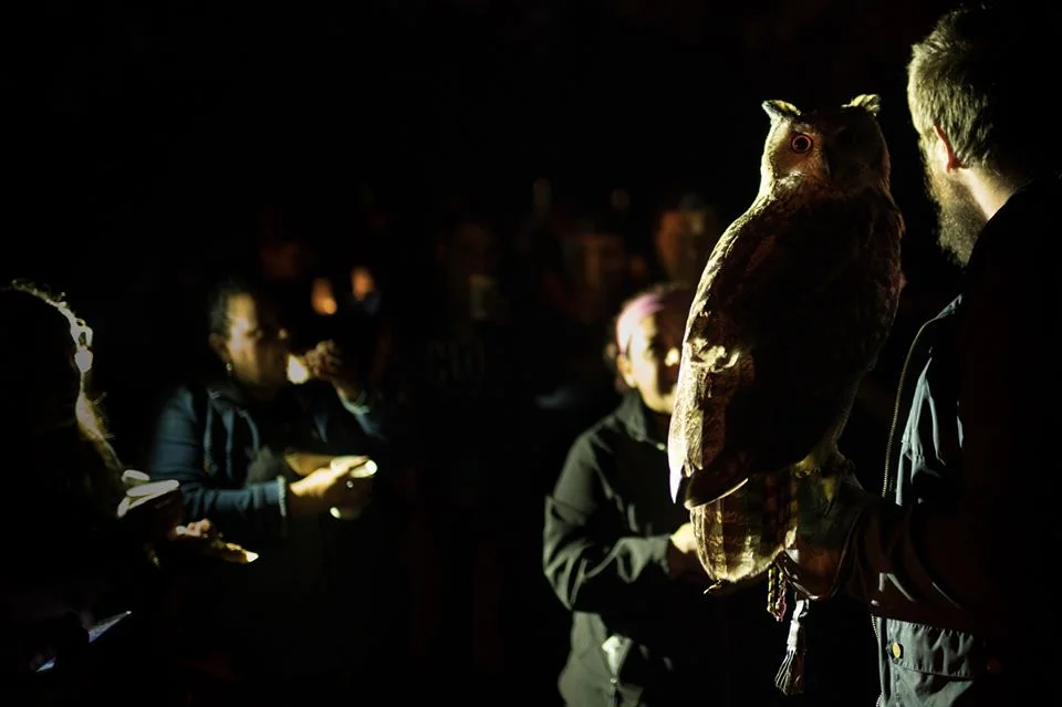 Veterans and Military Families Owl Prowl and Campfire Social at Seward Park Audubon