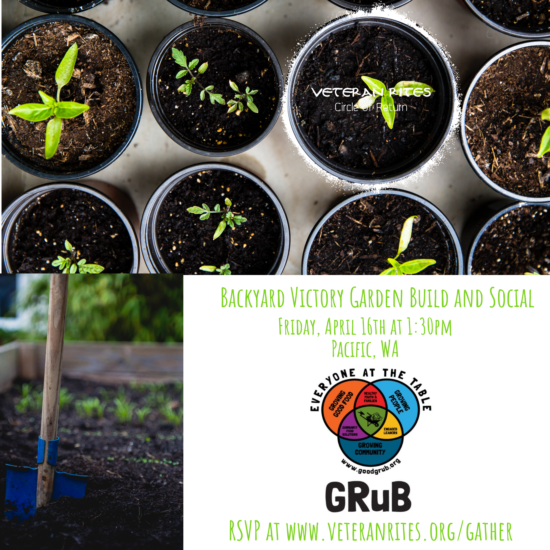 Backyard Victory Garden Build and Social