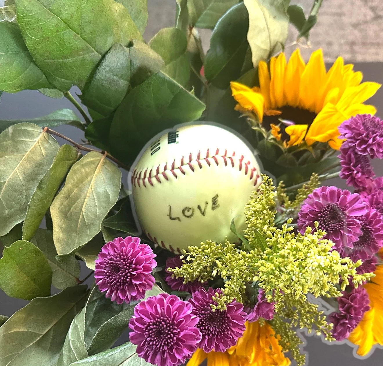I AM a Softball Named Love from Larry Hobbs 