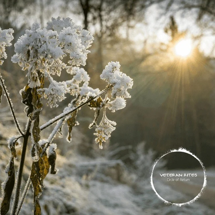 How can I tenderly hold the possibilities that lie dormant beneath the dark ground of myself? How do I nourish and sustain that which is waiting to be renewed? What actions can I take to begin to embody the death of what I have committed to let go of