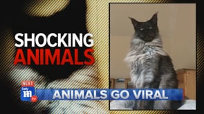 Daily Mail TV Season 3 Tease