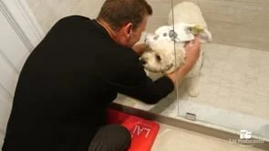 Lai Life Knee Pad Commercial Fall 2020-Chores