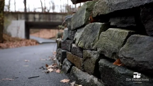 Alley Pond Park Scenics in Queens, New York