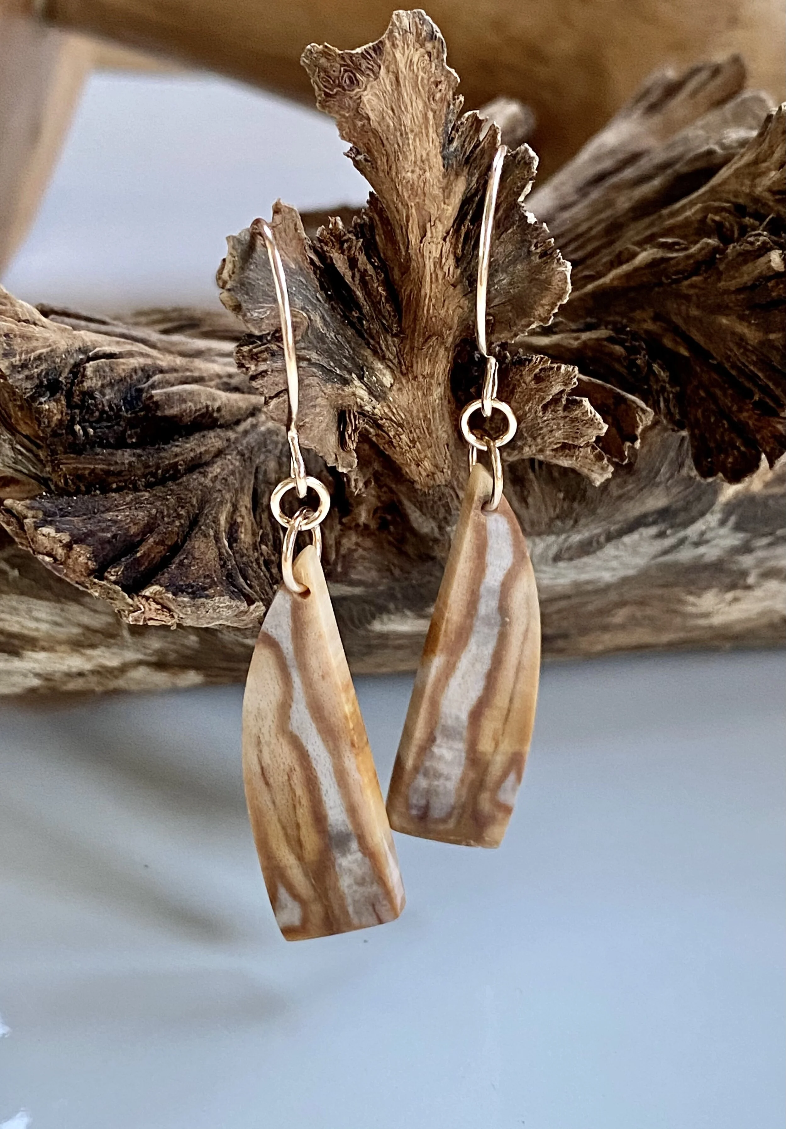 Petrified Wood on Gold 