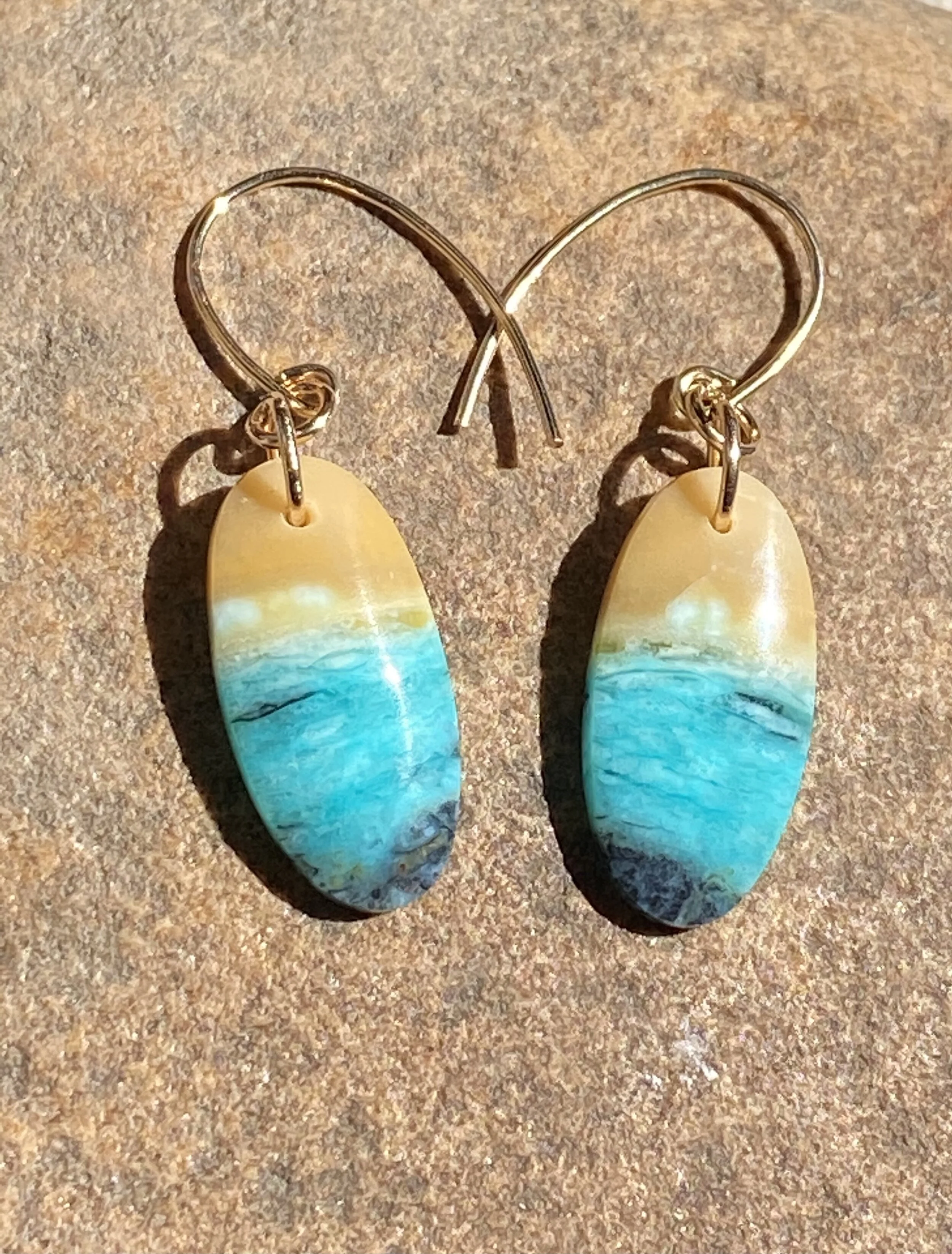 Blue Opalized Wood Earrings