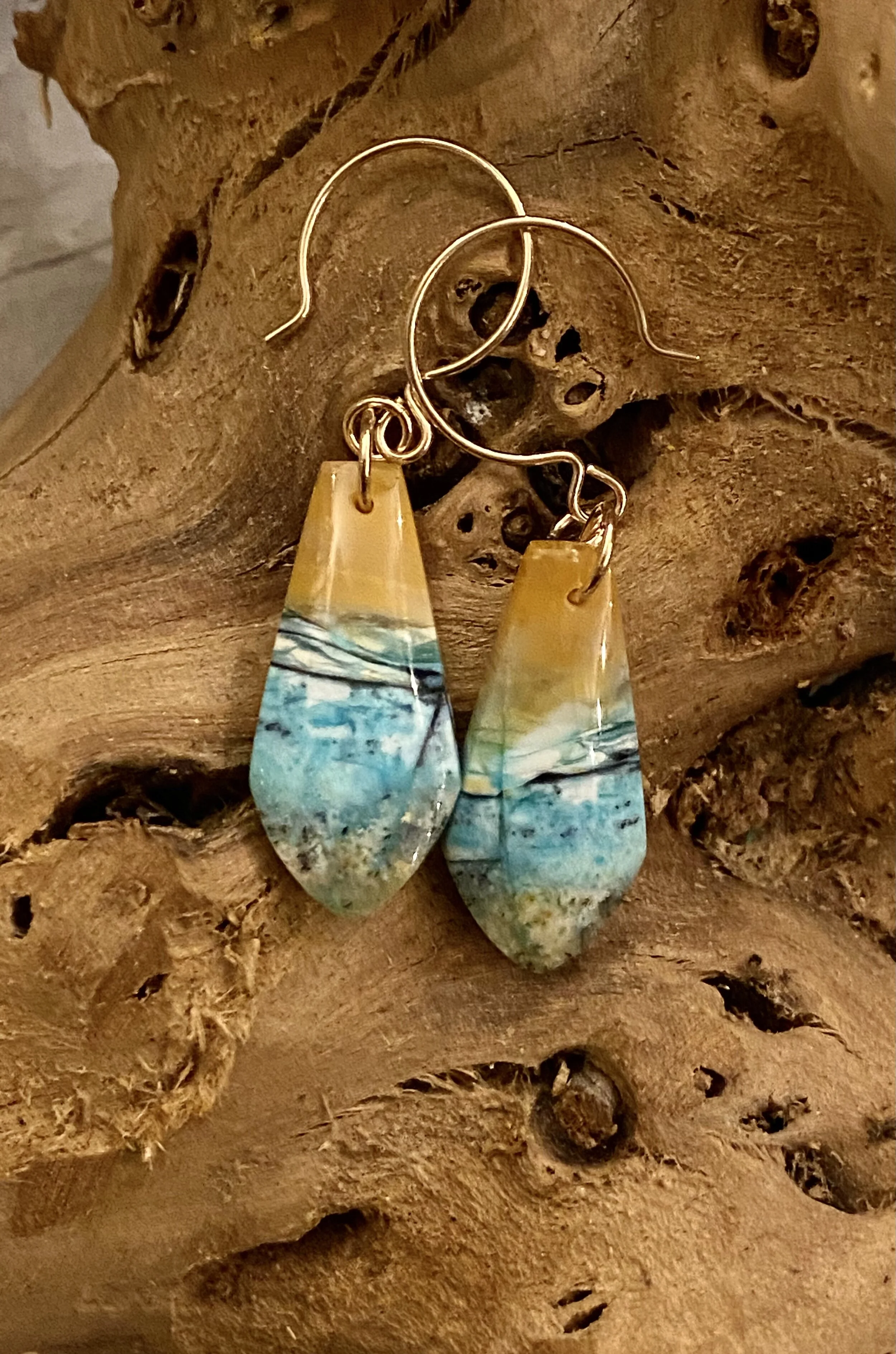 Blue Opalized Wood Earrings
