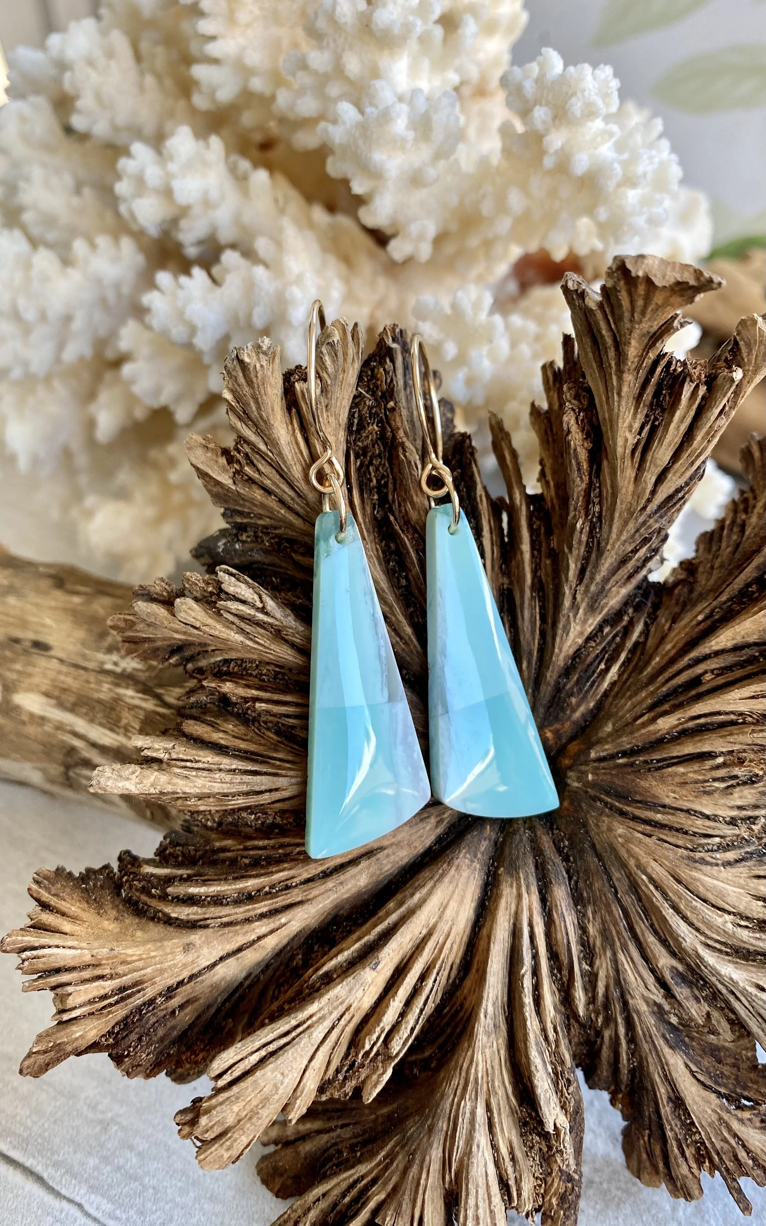 Blue Opalized Wood Earrings