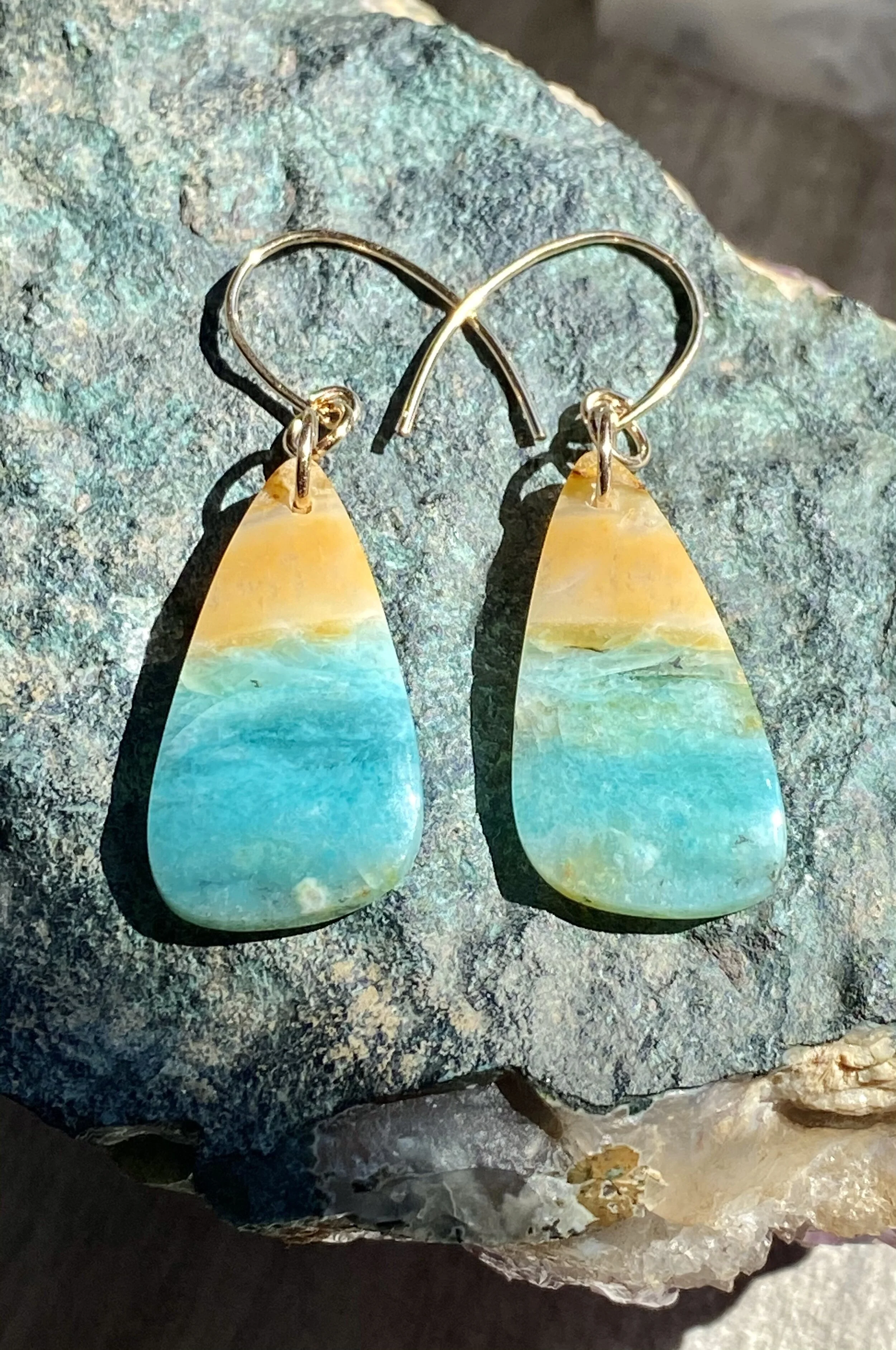 Blue Opalized Wood Earrings