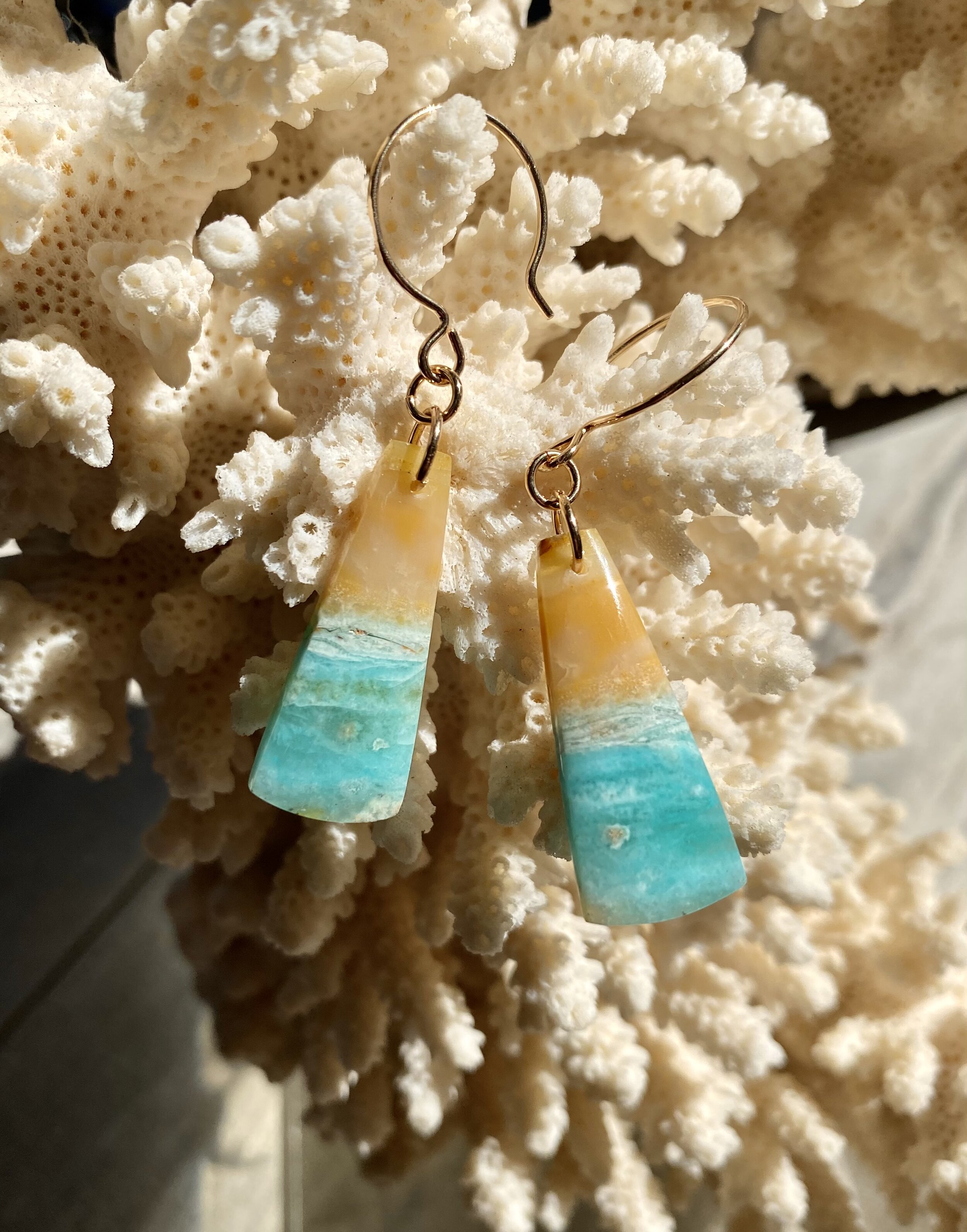 Blue Opalized Wood Earrings