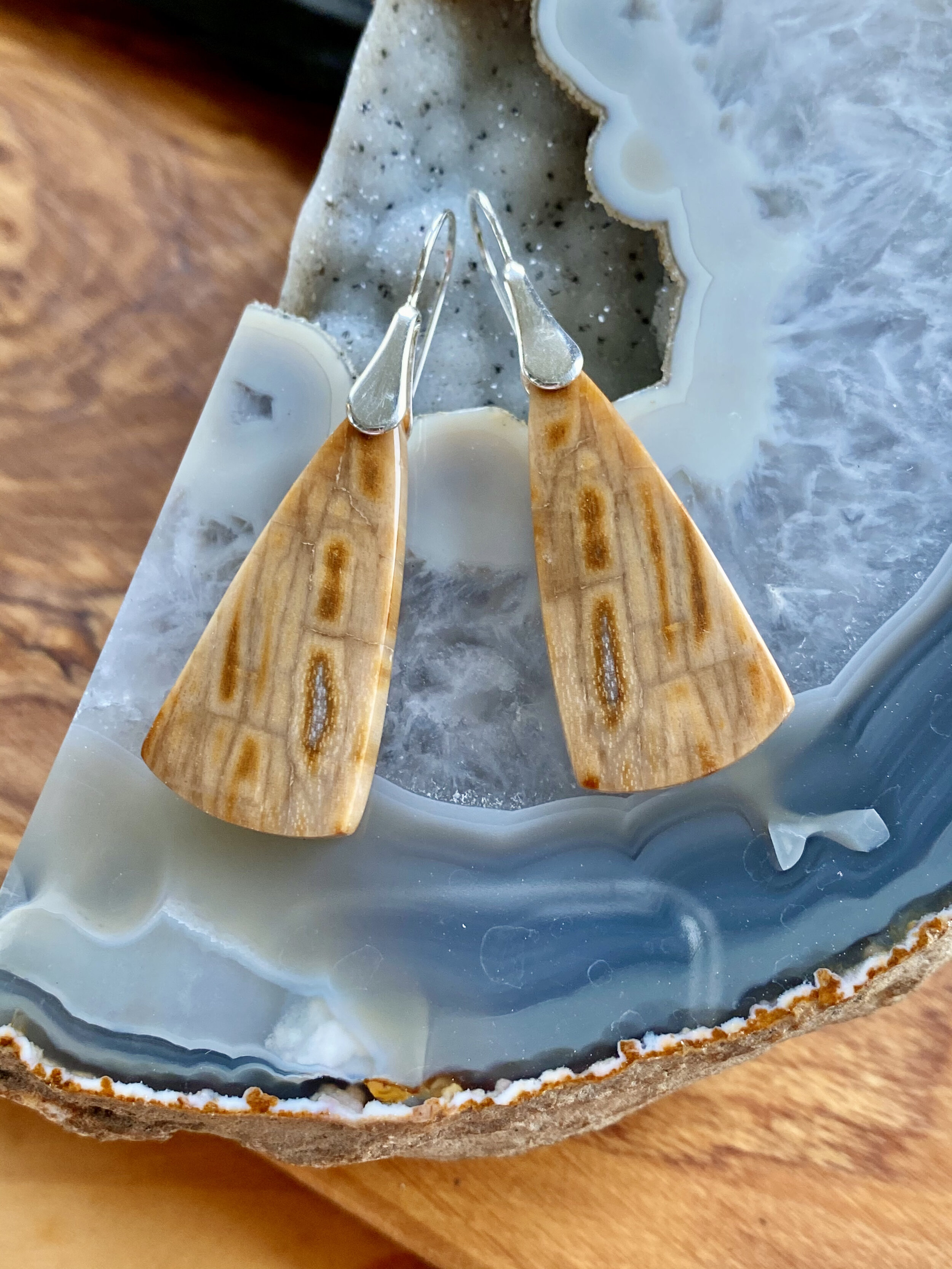 Petrified Wood Earrings