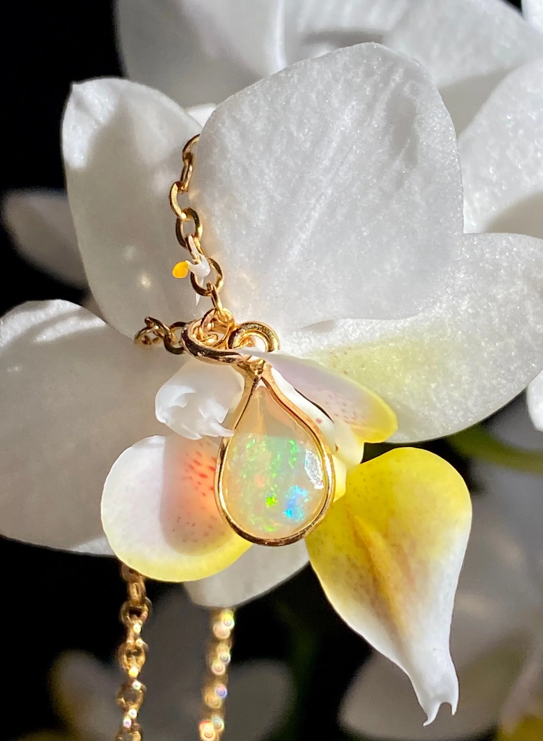 5373B380-C607-4250-8AC1-5E07E3E28CAC