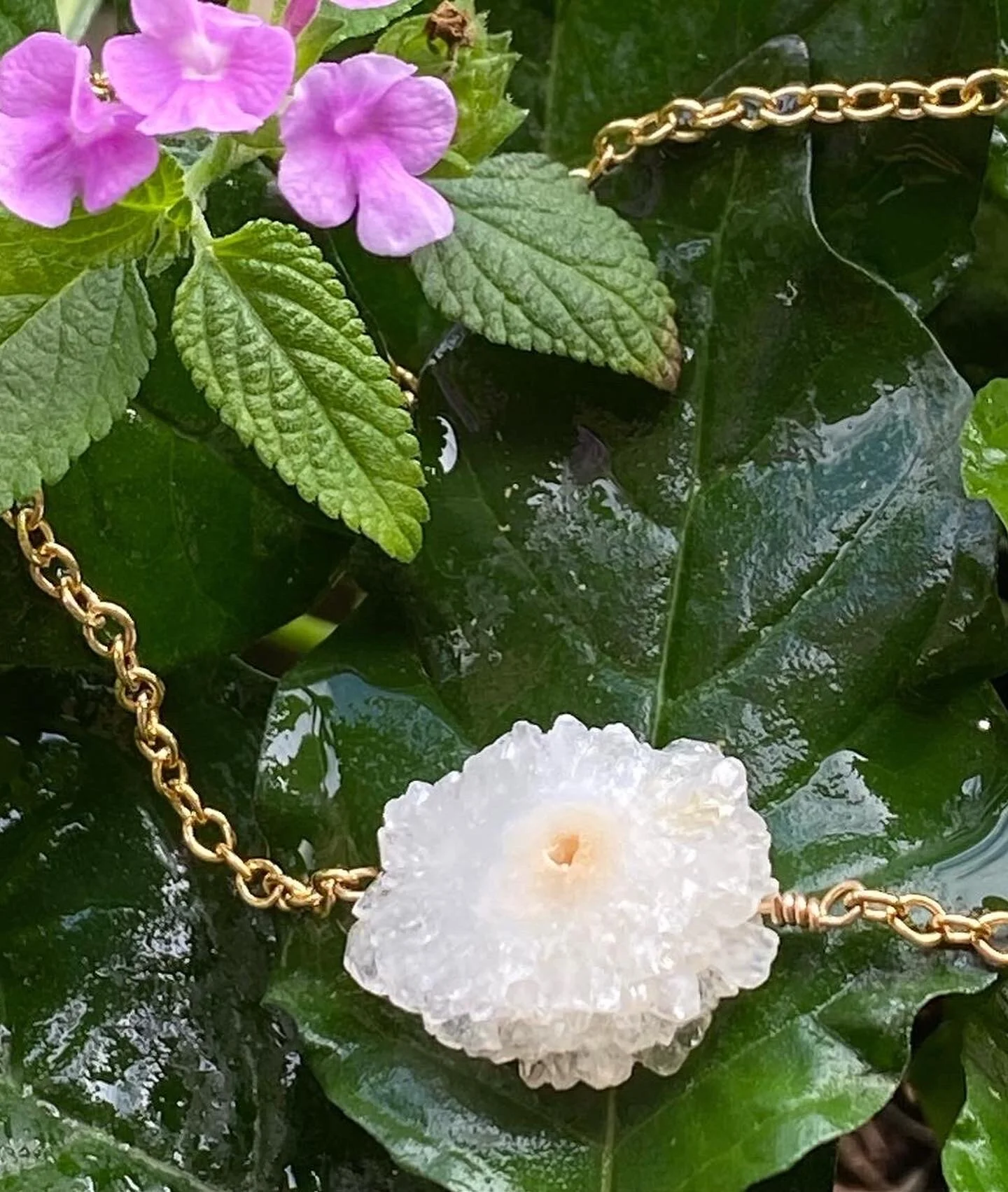 81F1399C-4C0C-413E-AD03-CACCD8035AEC