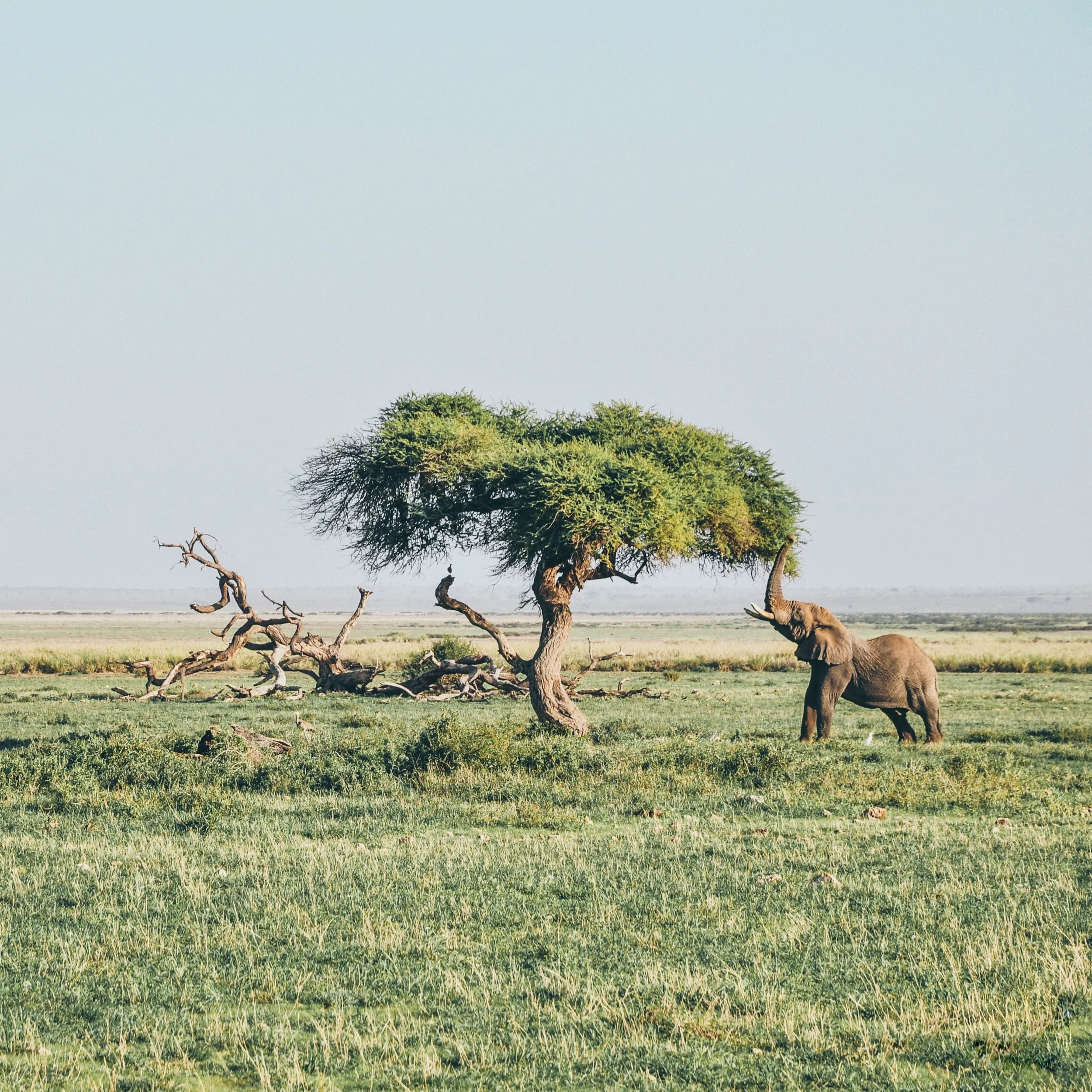 Africa-Project-PAssport-Wellness-Retreat.jpg