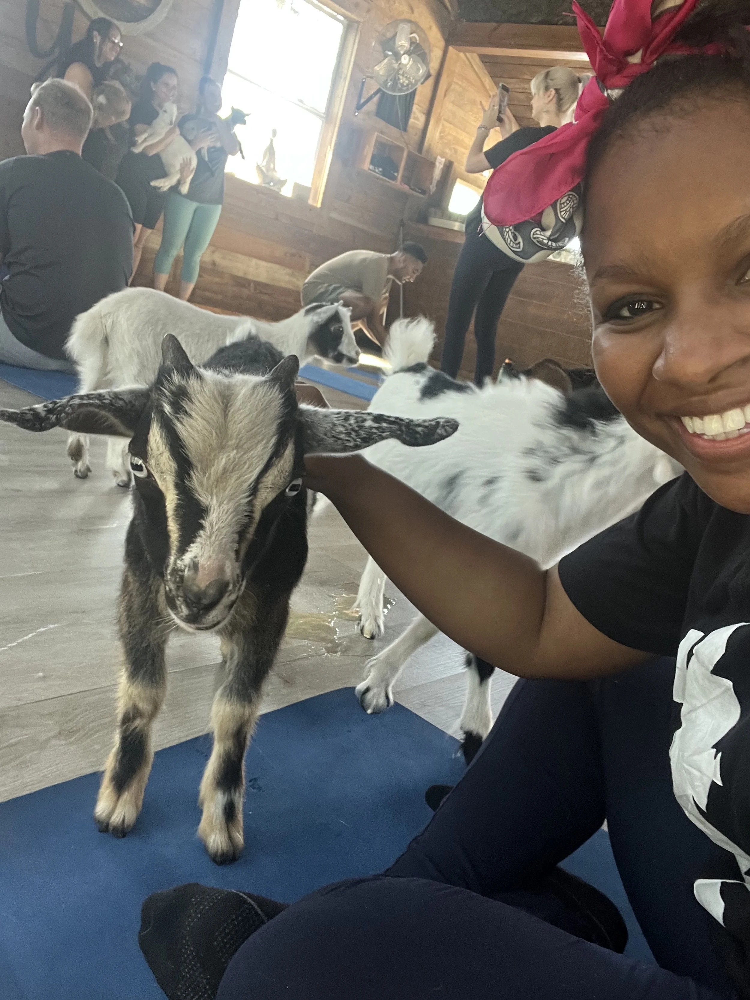 Goats, Yoga, and More Goats! My One Time Life on the  Wild Side of the Farmlands (YOH2)