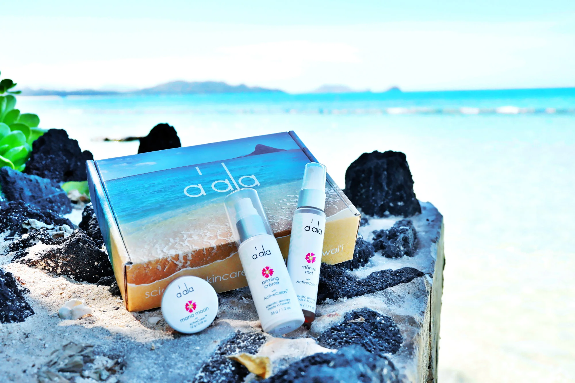 aala hawaii - beach l.jpg
