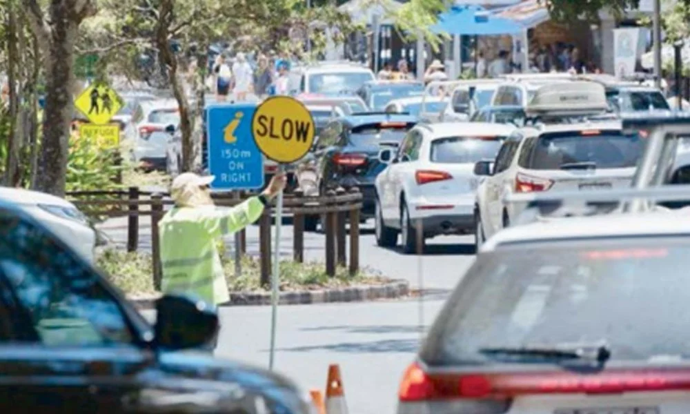  ZEN sets out transport plans