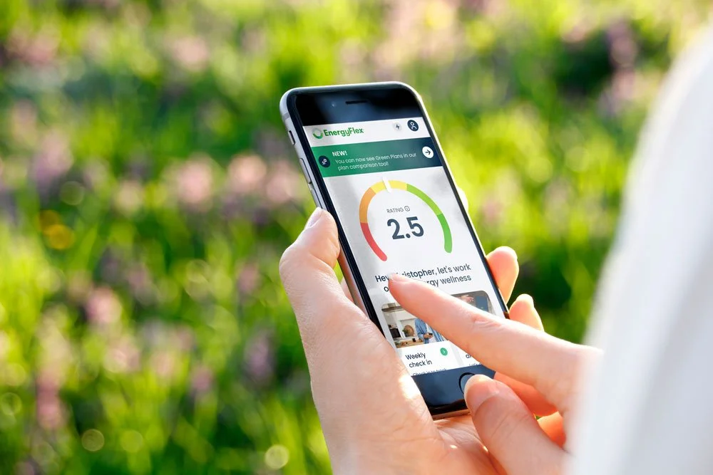 Save Money with Smarter Home Energy