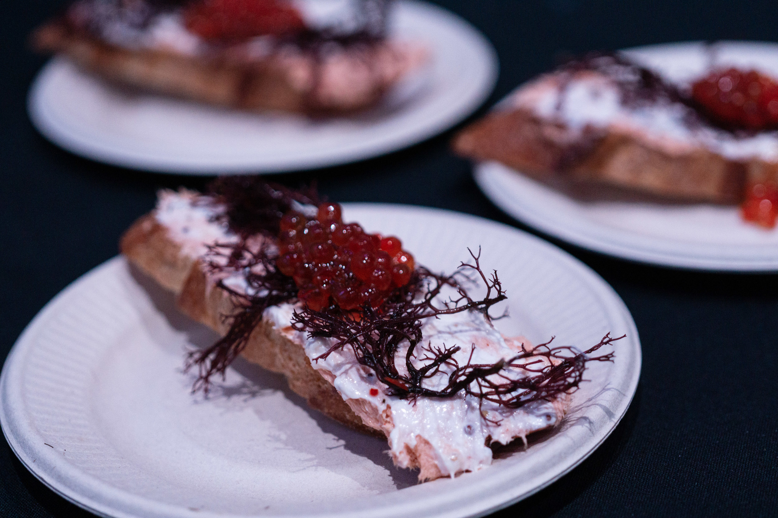 _DSC7326.jpeg