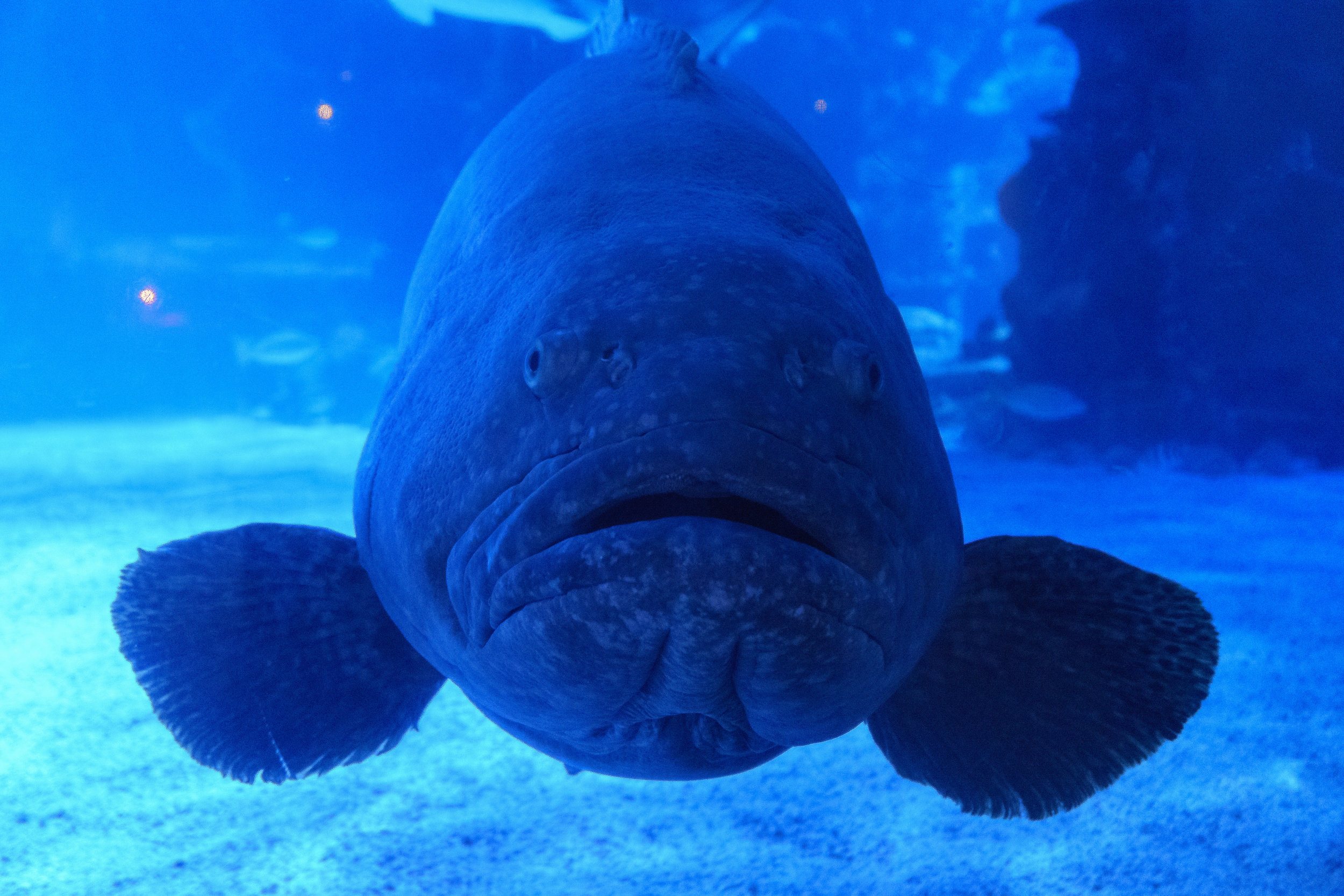 _DSC7015.jpeg
