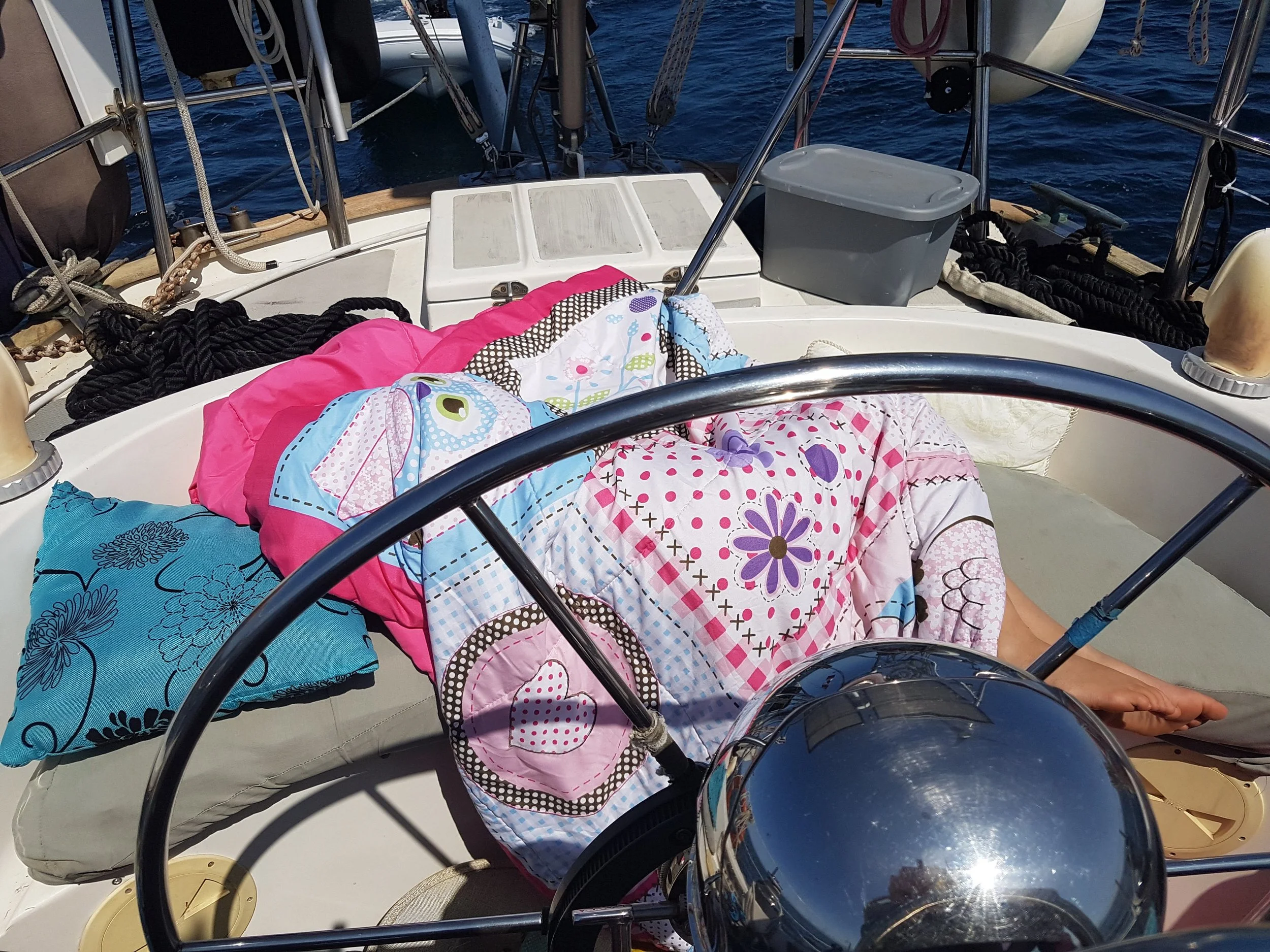 20190815_125001.jpg