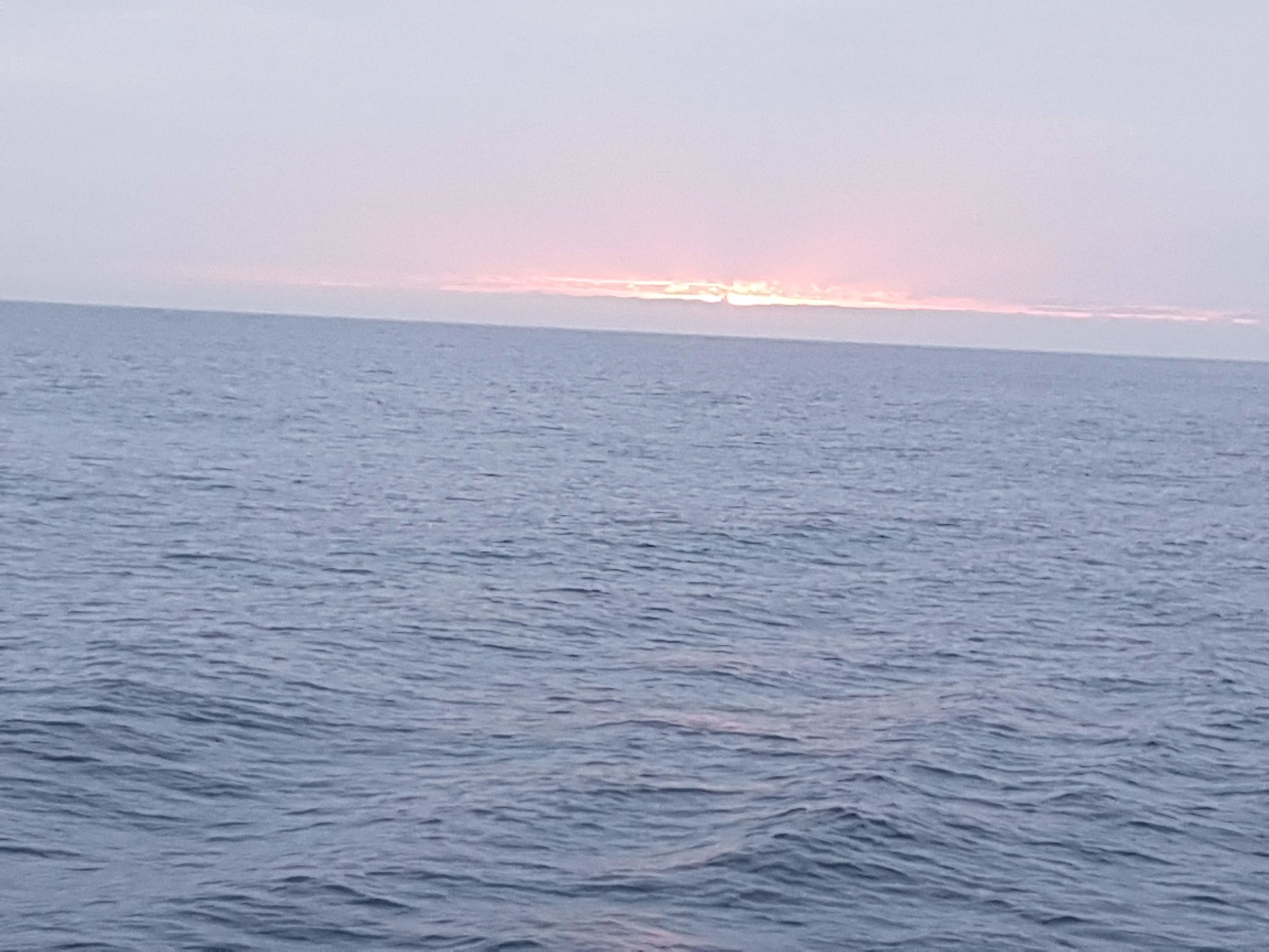 20190817_061502.jpg