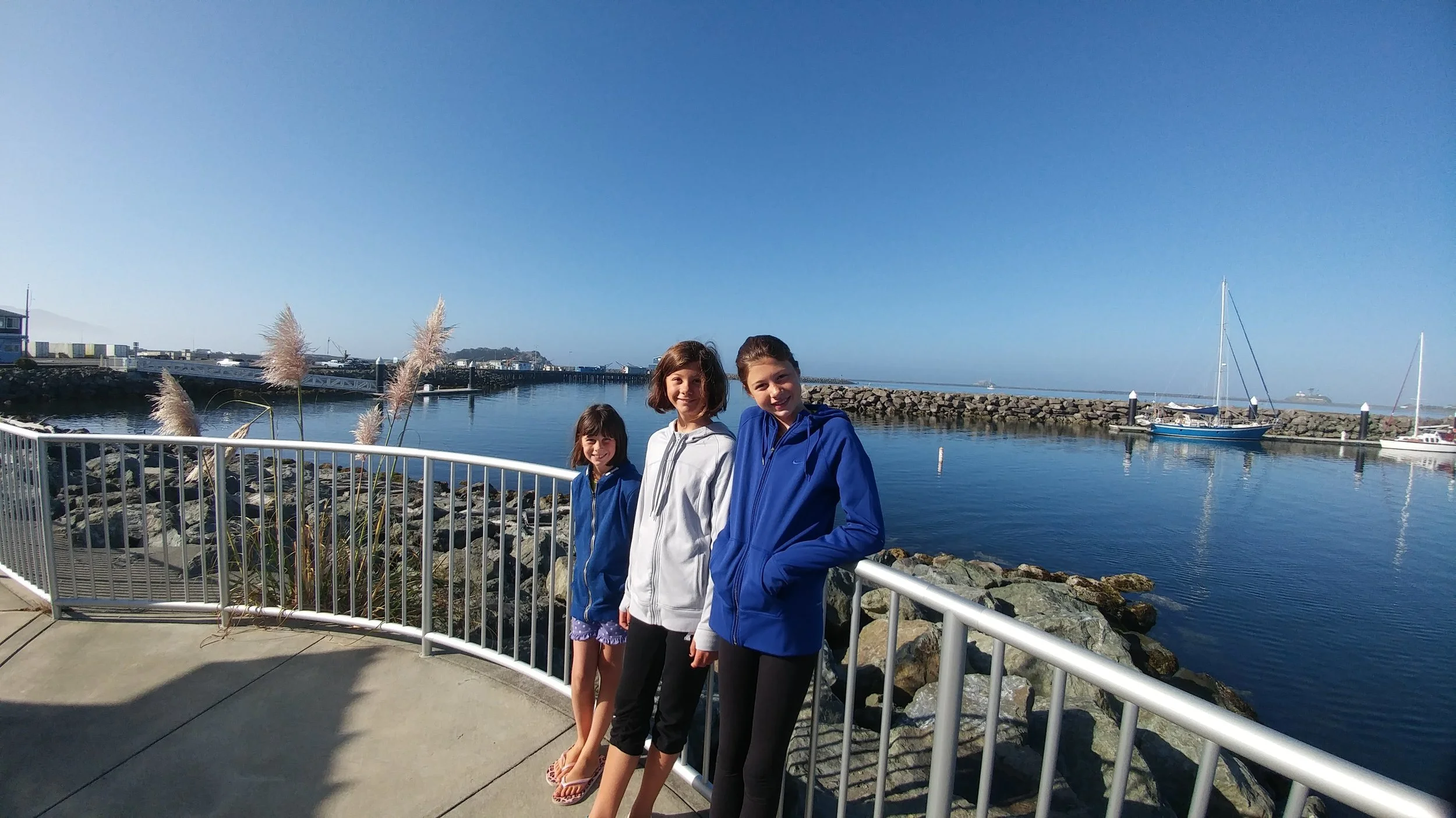 The Adventure Begins! (Ada)