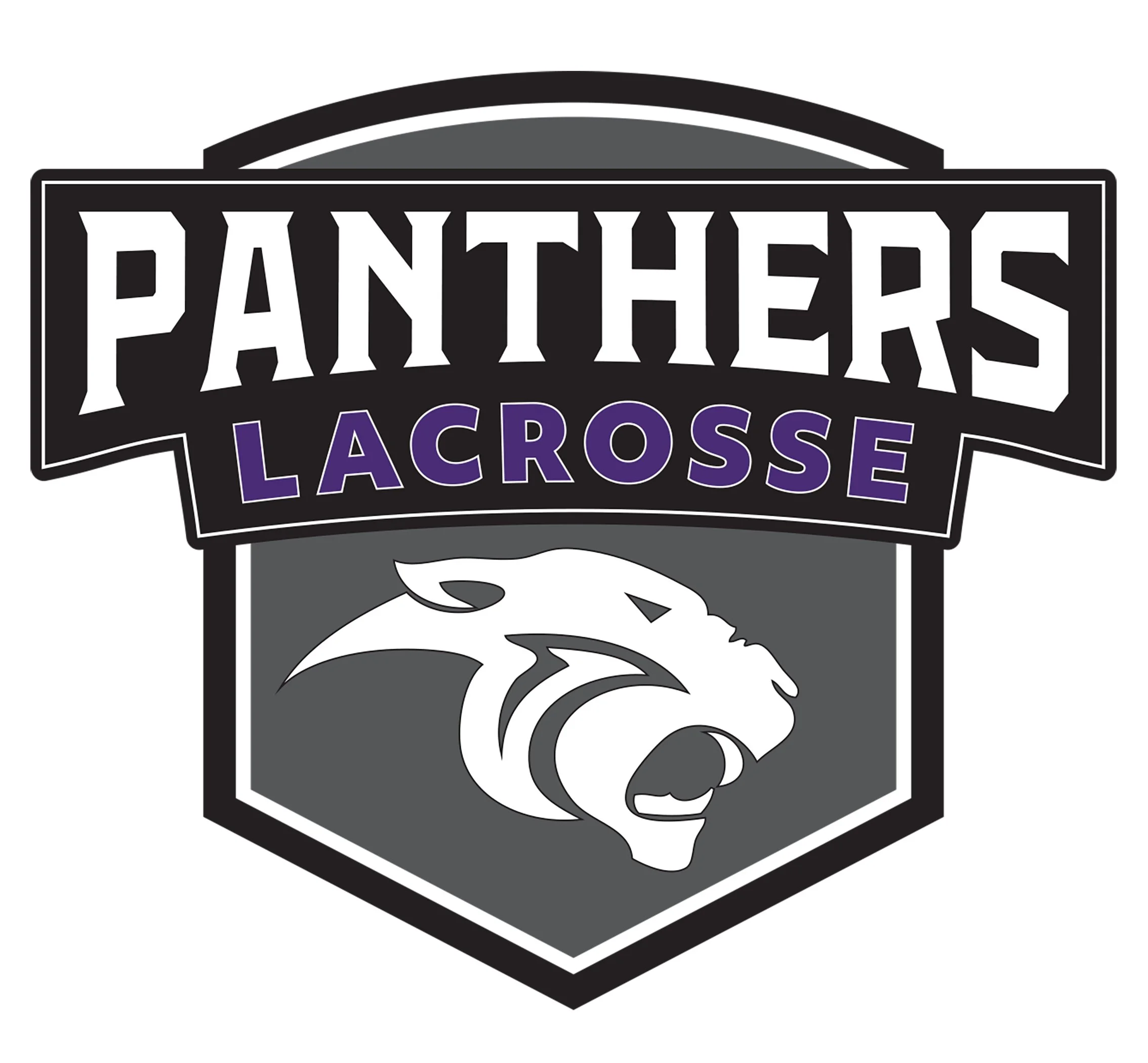 Panthers 2021 logo 300 DPI white.JPG