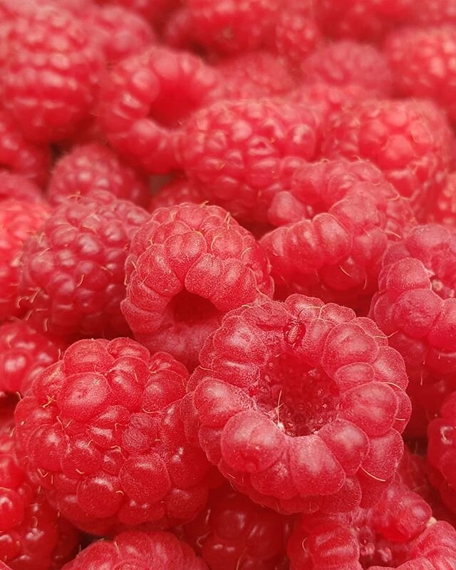 First pick! #raspberries #mygarden #yummy