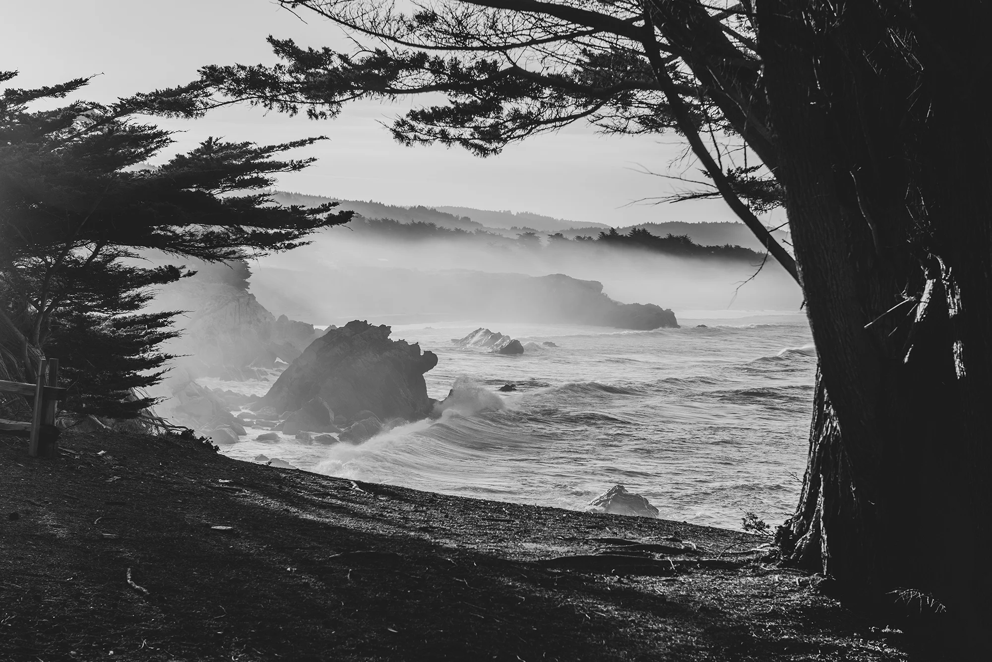 SH_BIGSUR.jpg