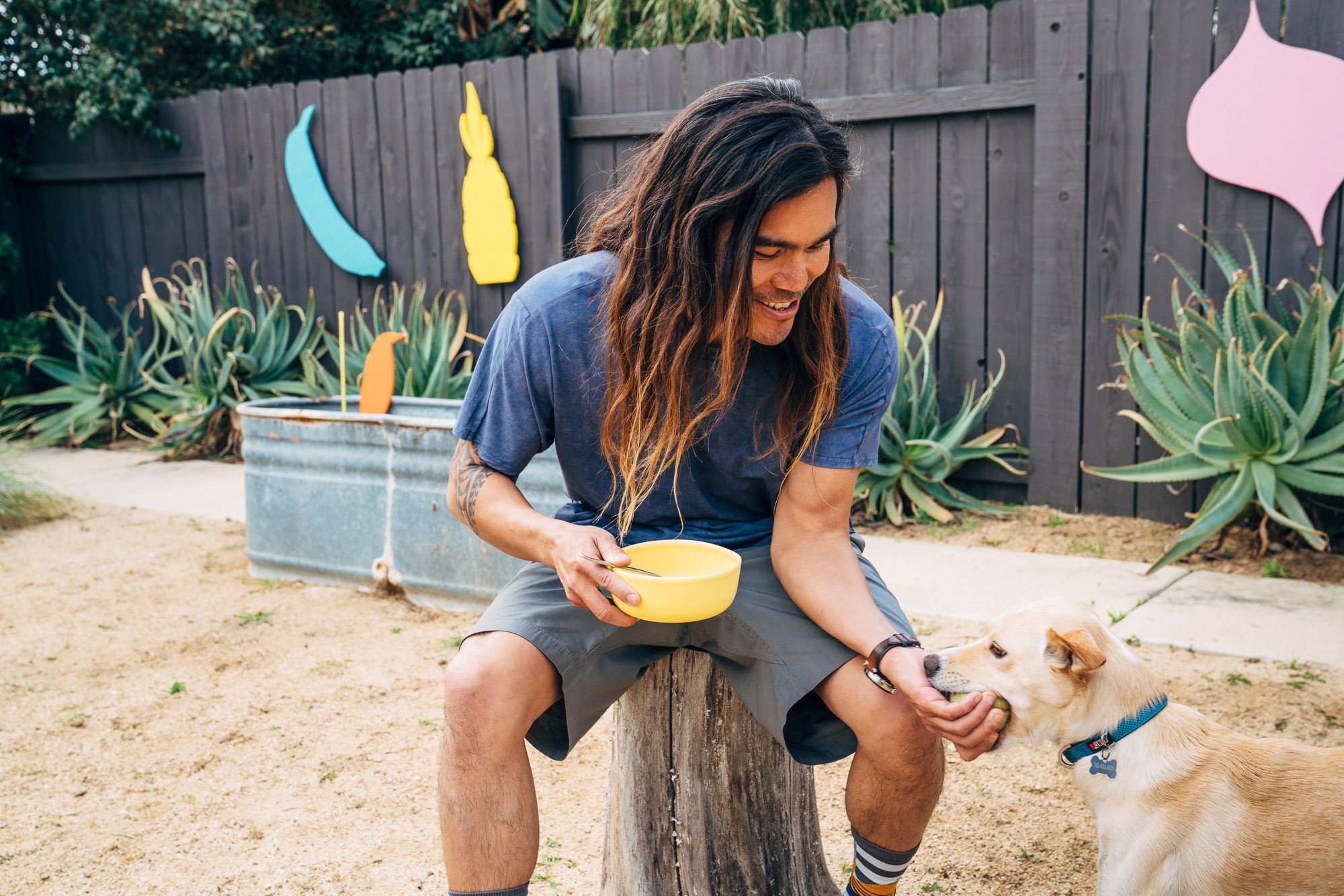 Kashi_Kai-dog_Web.jpg