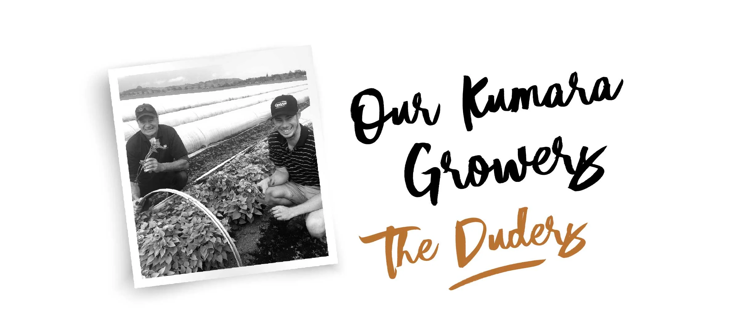 Gardeners-01.jpg
