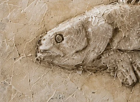 redfish5.jpg