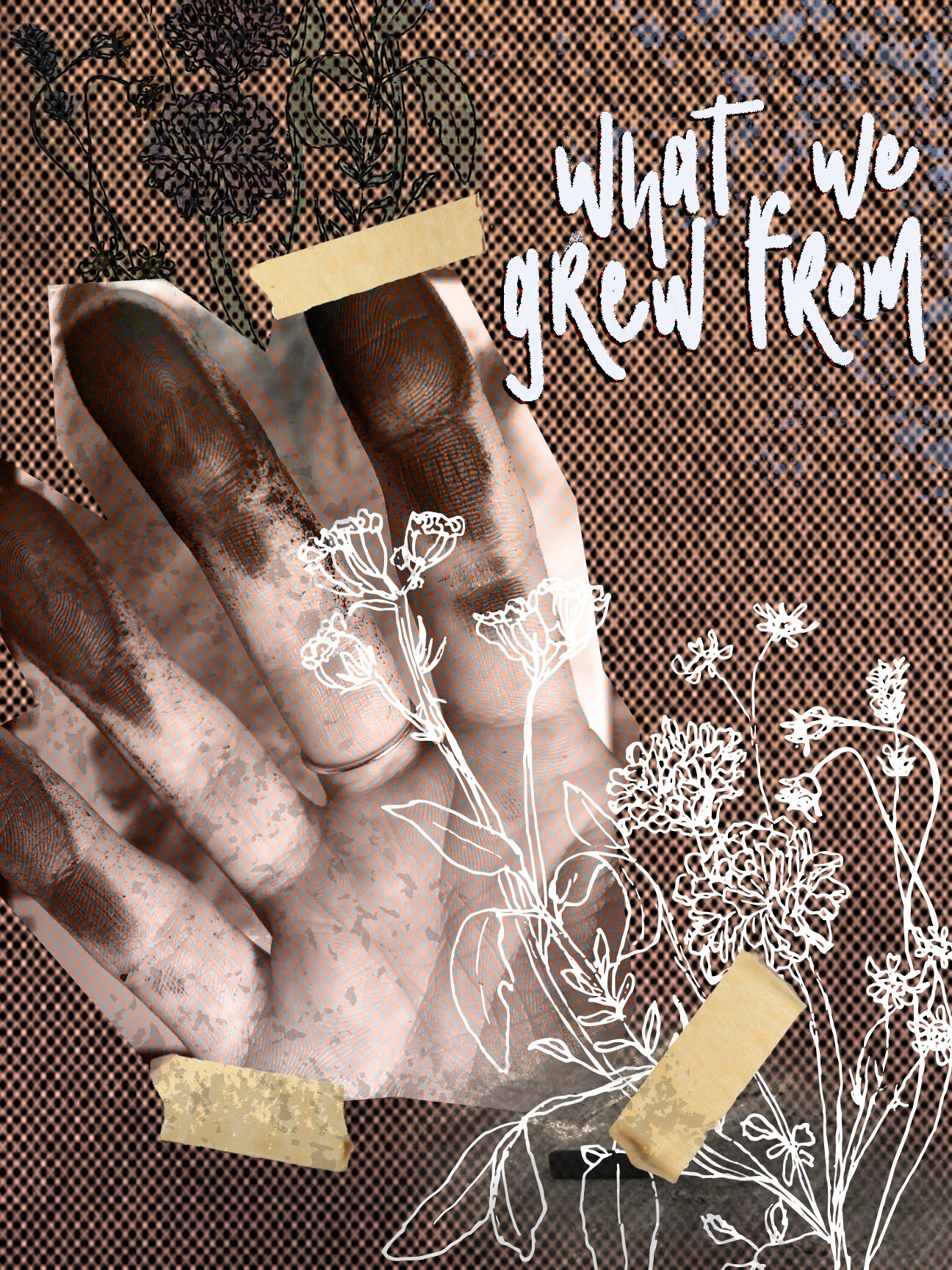 What We Grew From Poster 1
