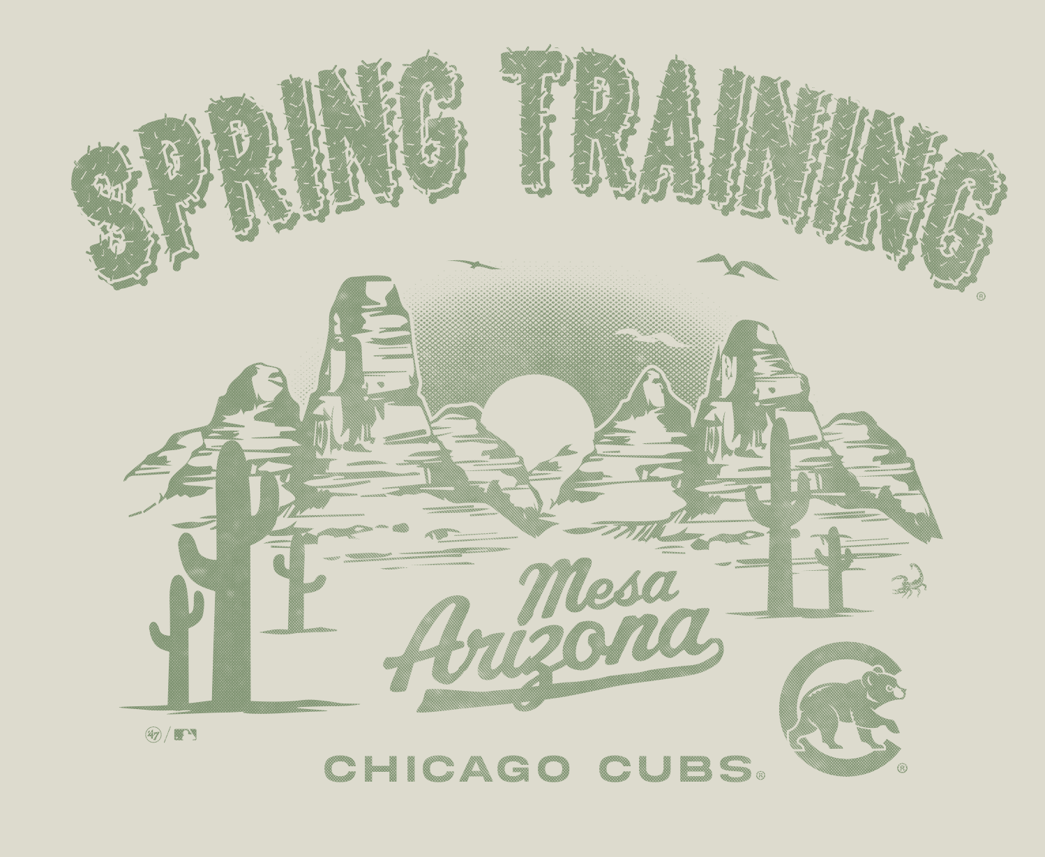  Spring Training Cactus League: Final 