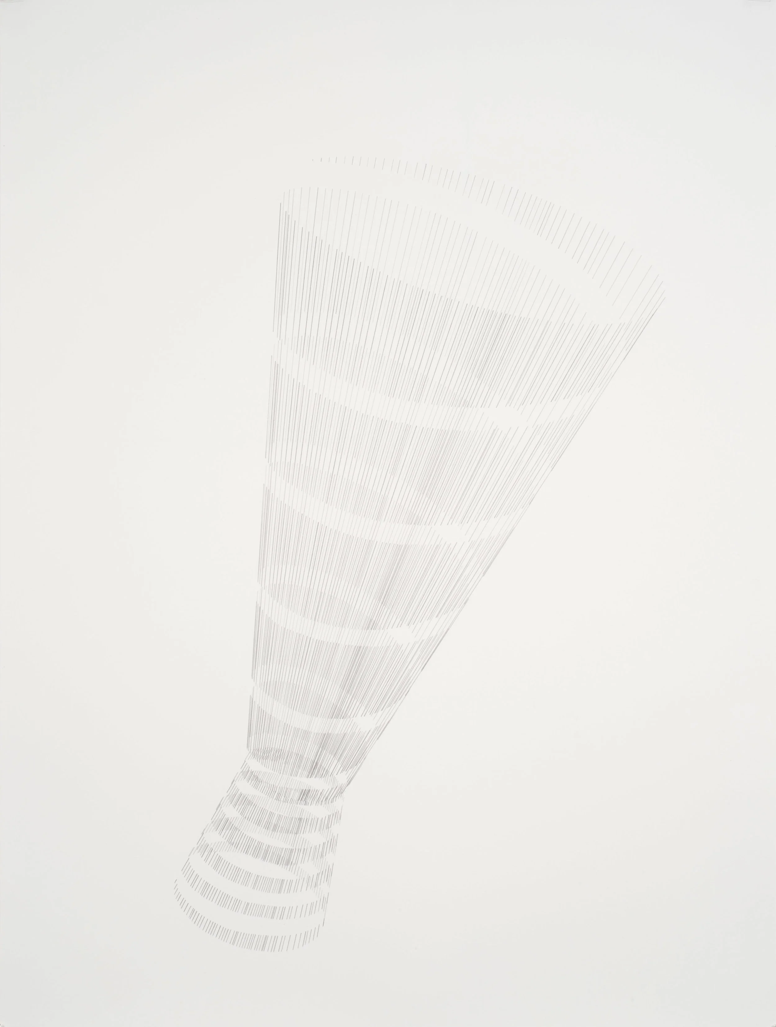 Untitled (Torsion Studies #2)