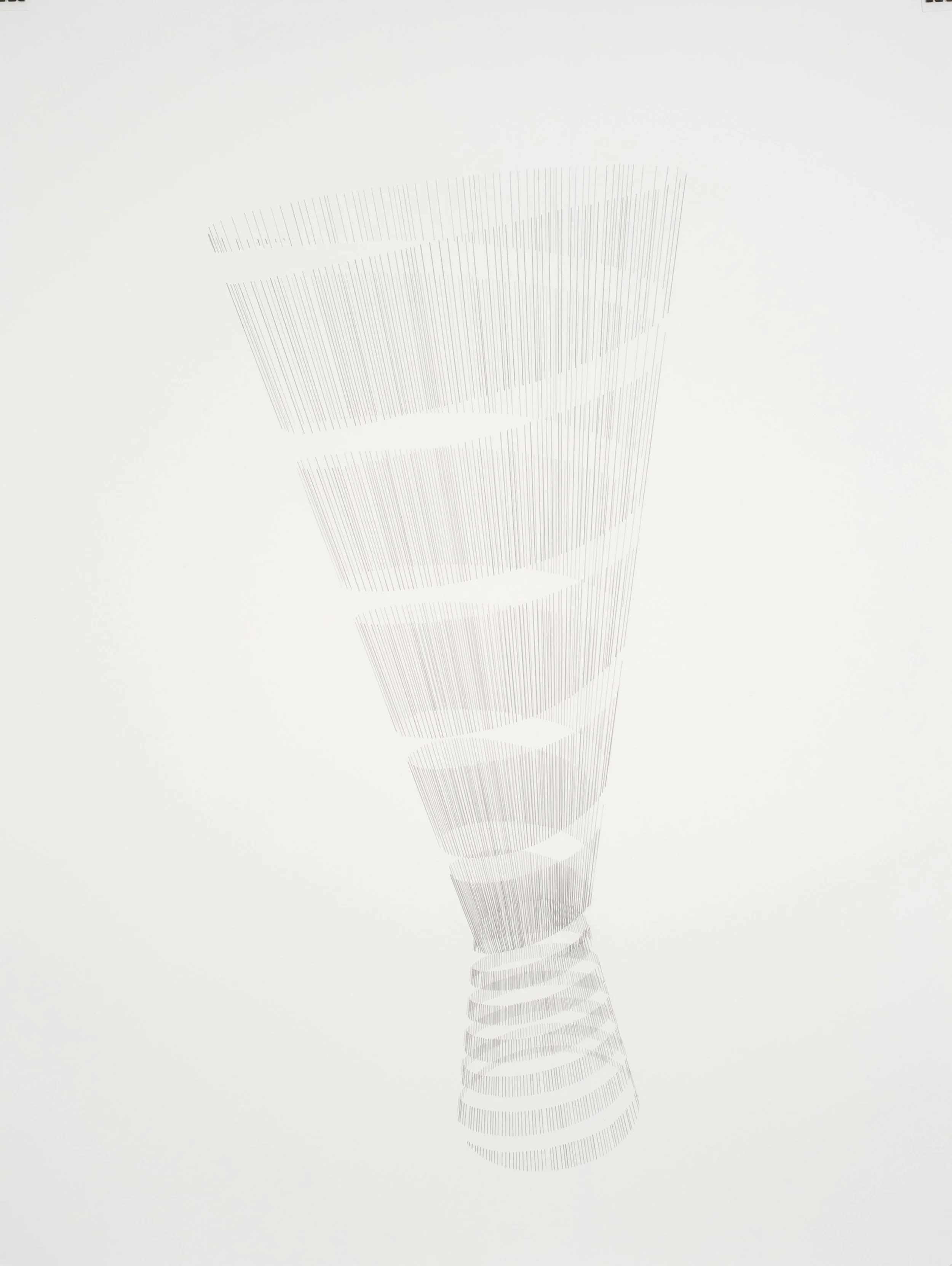 Untitled (Torsion studies #3)