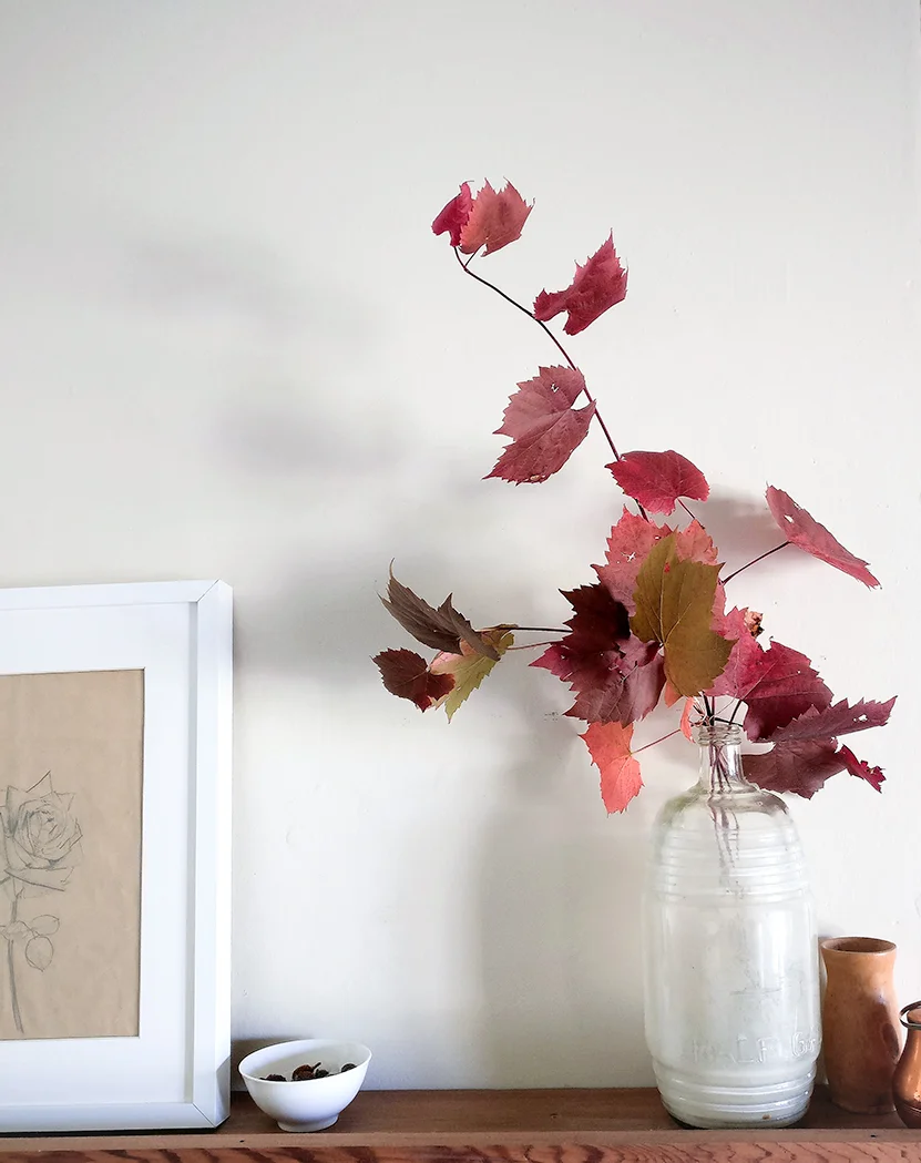 Grapevine_styling_1_2_web.jpg