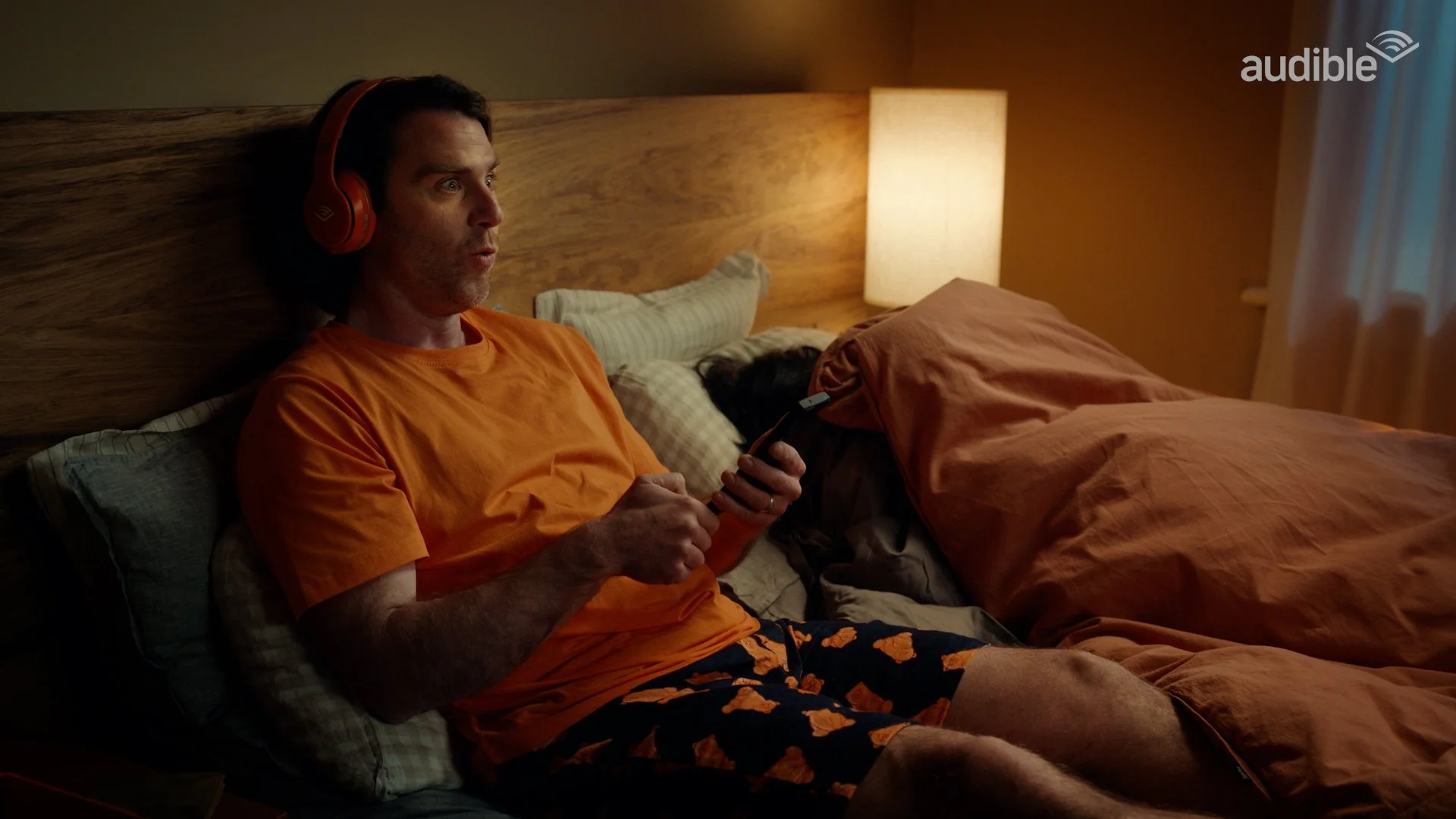 AUDIBLE- Jimmy Rees - I'm Not In The Park