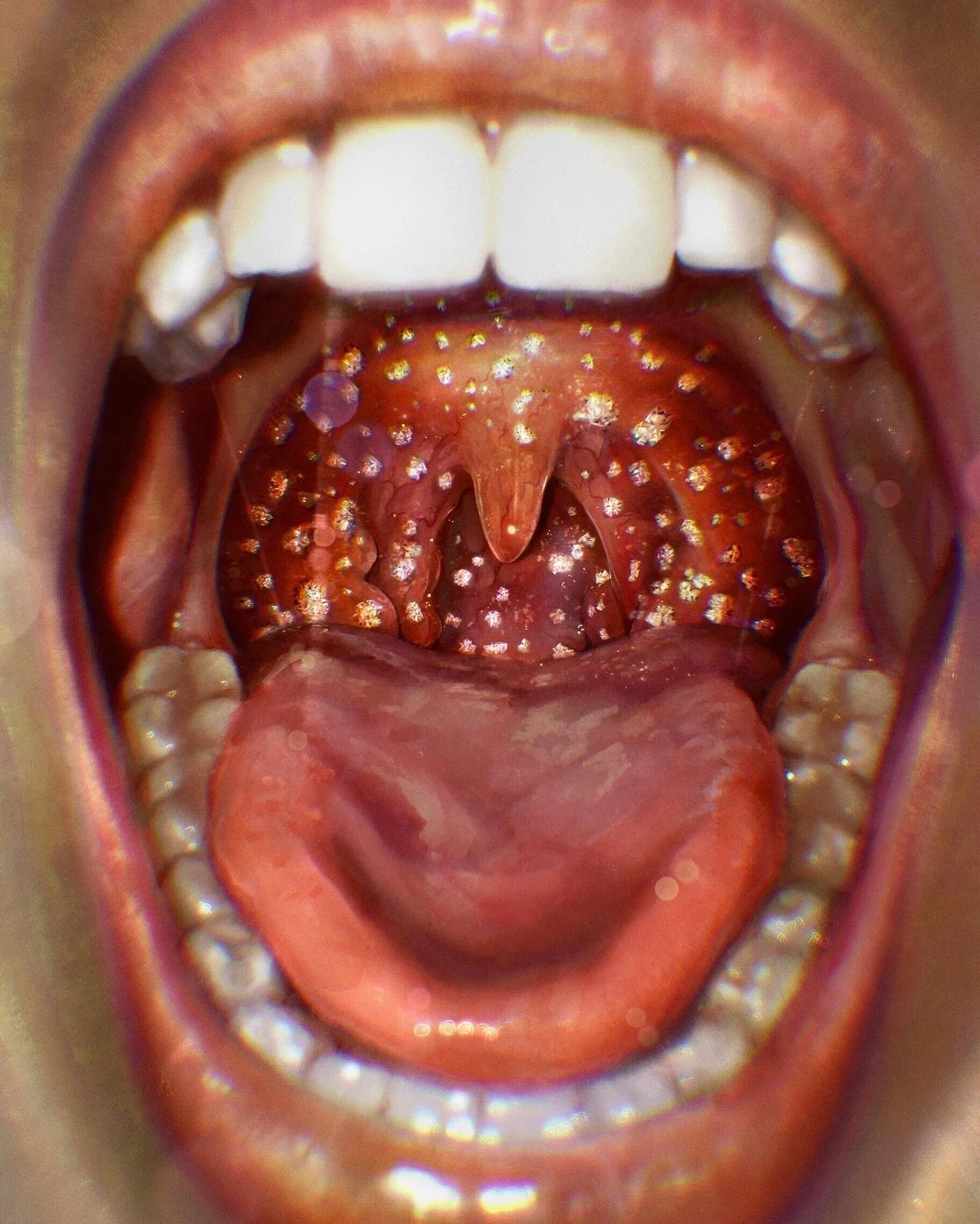 stones-swallow.JPG