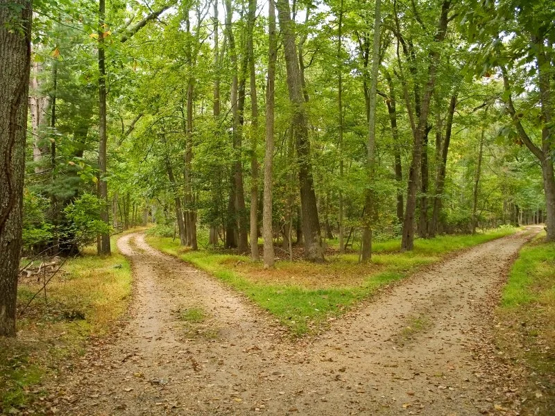 To Pivot or Not To Pivot: How Startups Should Evolve from Feedback